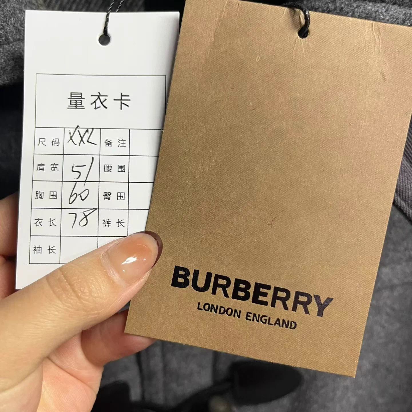 Burberry Burberry Grey Oversized Hoodie Jacket XXL New w/ Tags Size XL / US 12-14 / IT 48-50 - 3 Thumbnail