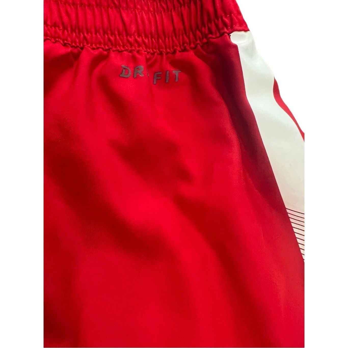 Nike Nike Dri-fit Shorts size L Size US 30 / EU 46 - 8 Thumbnail