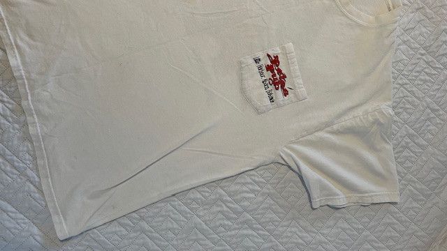 Hanes Destination Tee, 90's, Single Stitch Size US L / EU 52-54 / 3 - 7 Thumbnail