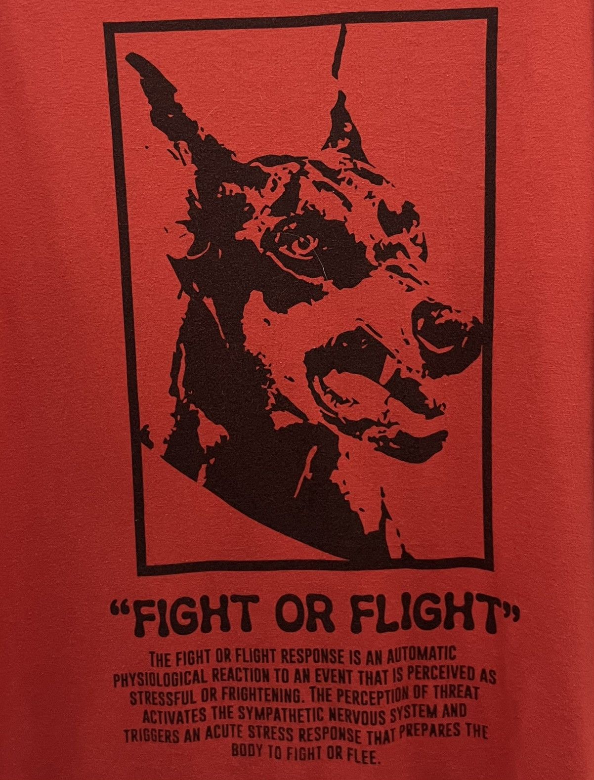 Boohoo × Vintage VINTAGE BOOHOO MAN LIMITED EDITION FIGHT OR FLIGHT SHIRT Size US M / EU 48-50 / 2 - 4 Thumbnail