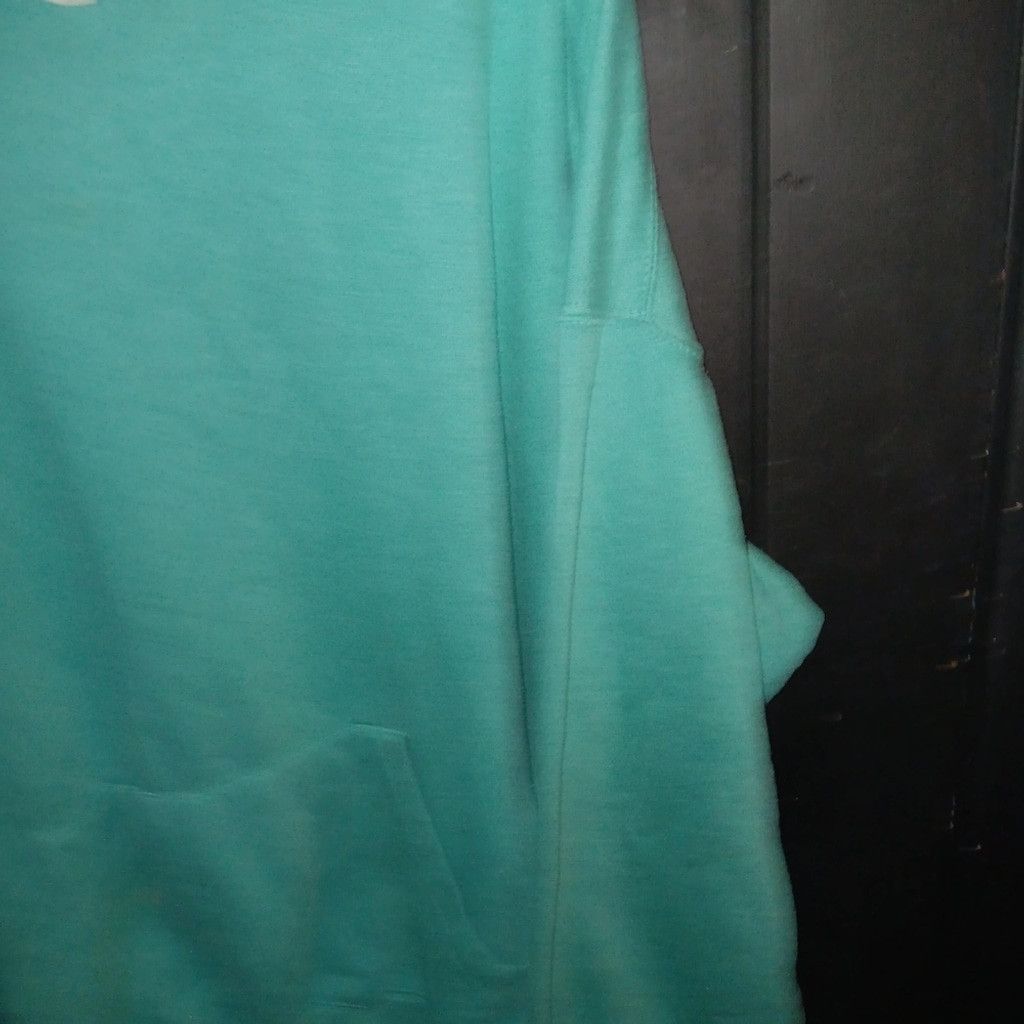 Pacific and Co. Pacific & Co.light green sweatshirt, no drawstring, euc 1X Size XL / US 12-14 / IT 48-50 - 4 Thumbnail