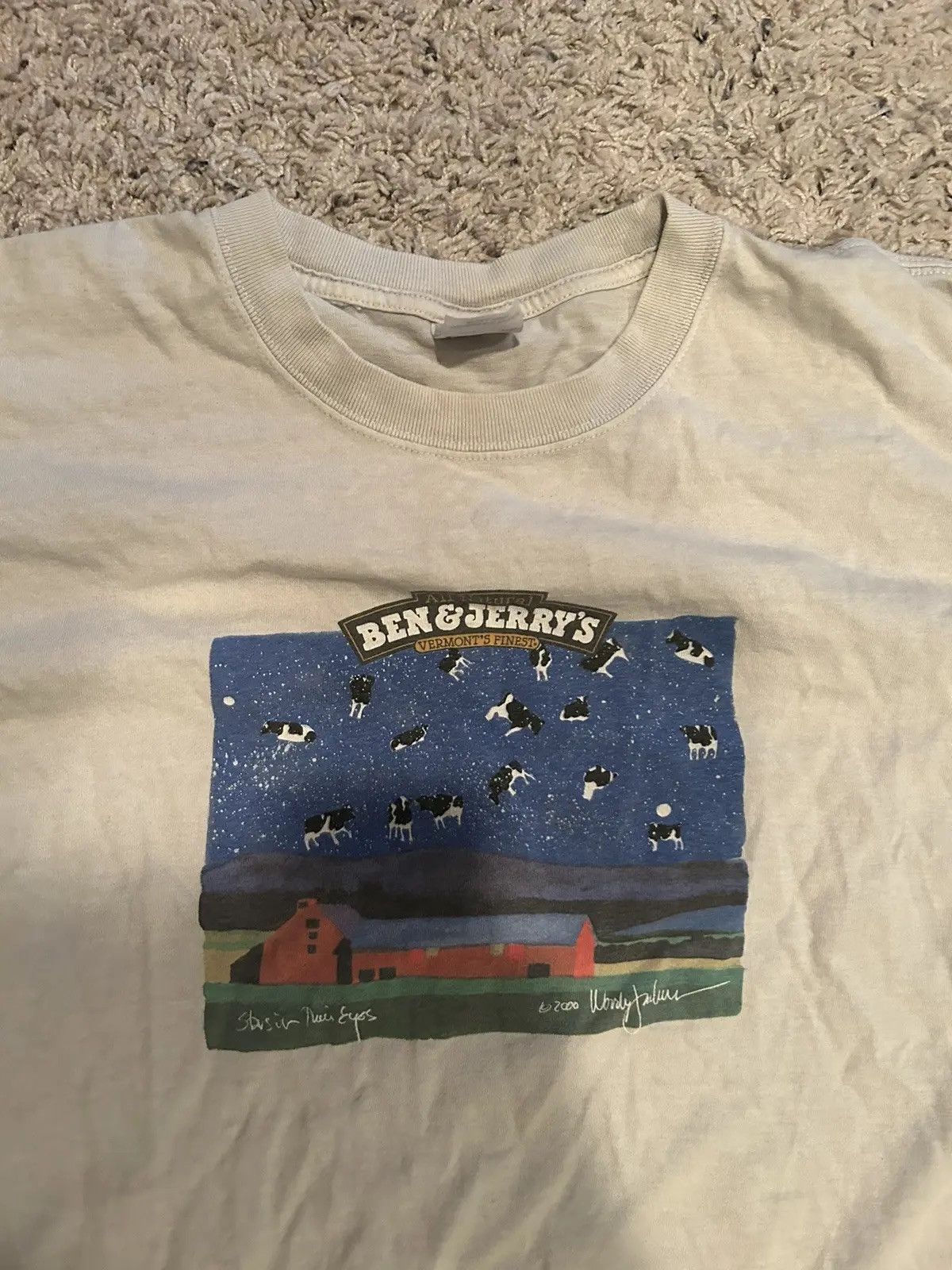 Anvil Ben & Jerry’s Counting Cows Tee Size US XL / EU 56 / 4 - 1 Thumbnail