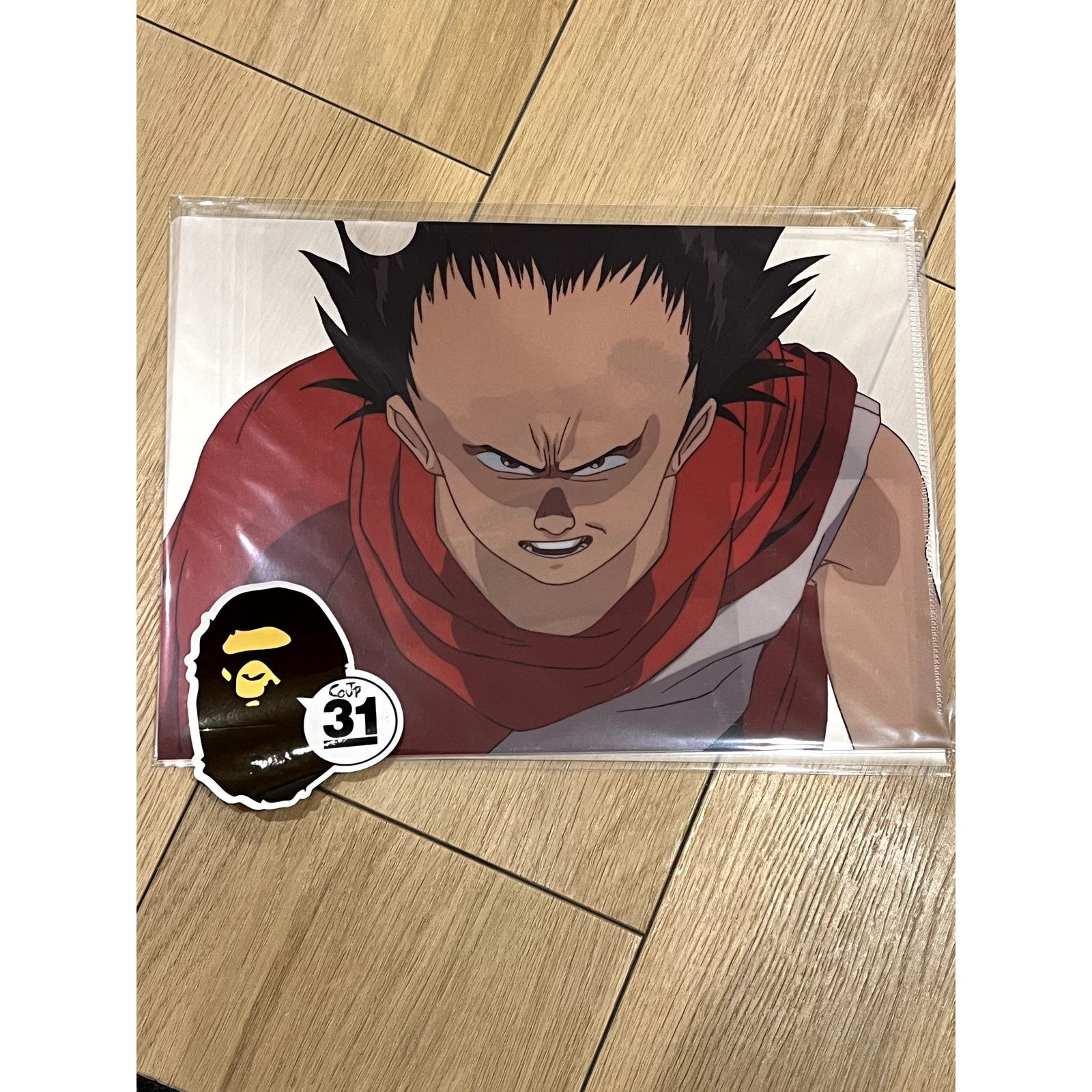 Japanese Brand Katsuhiro Otomo The Complete Works Akira Cel Folder Size ONE SIZE - 2 Thumbnail