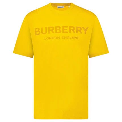 Burberry o1w1db10326 Ellison Logo T-Shirt in Ochre Size US XS / EU 42 / 0 - 1 Thumbnail