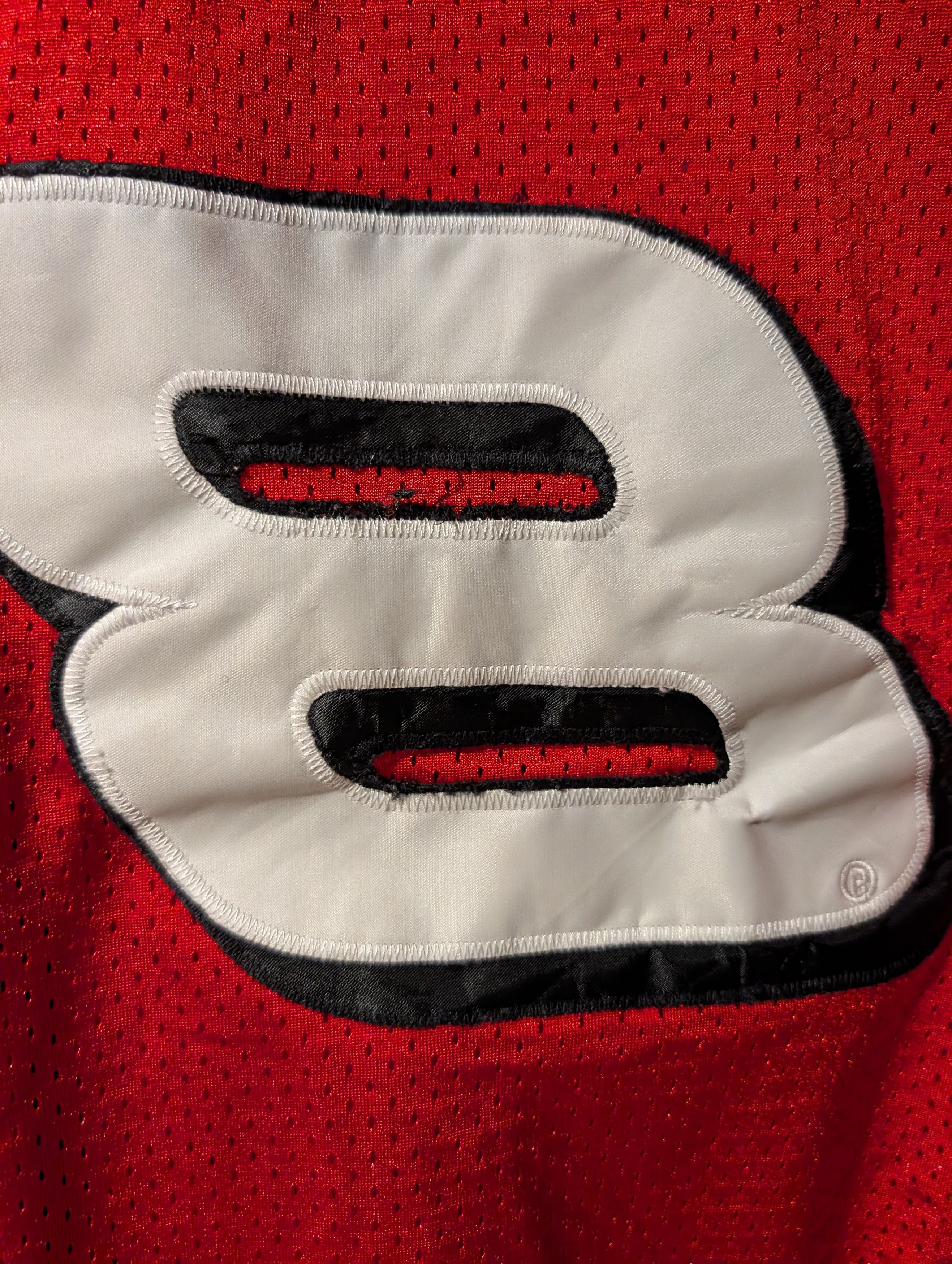 NASCAR DALE EARNHARDT JR. NASCAR BUDWEISER VINTAGE CHASE JERSEY Size L / US 10 / IT 46 - 9 Thumbnail