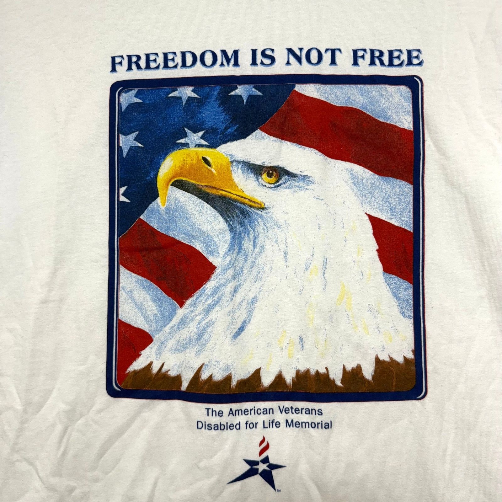 Hanes Hanes L Cotton Shirt Freedom Is Not Free Veterans USA Y2K Size US L / EU 52-54 / 3 - 2 Thumbnail