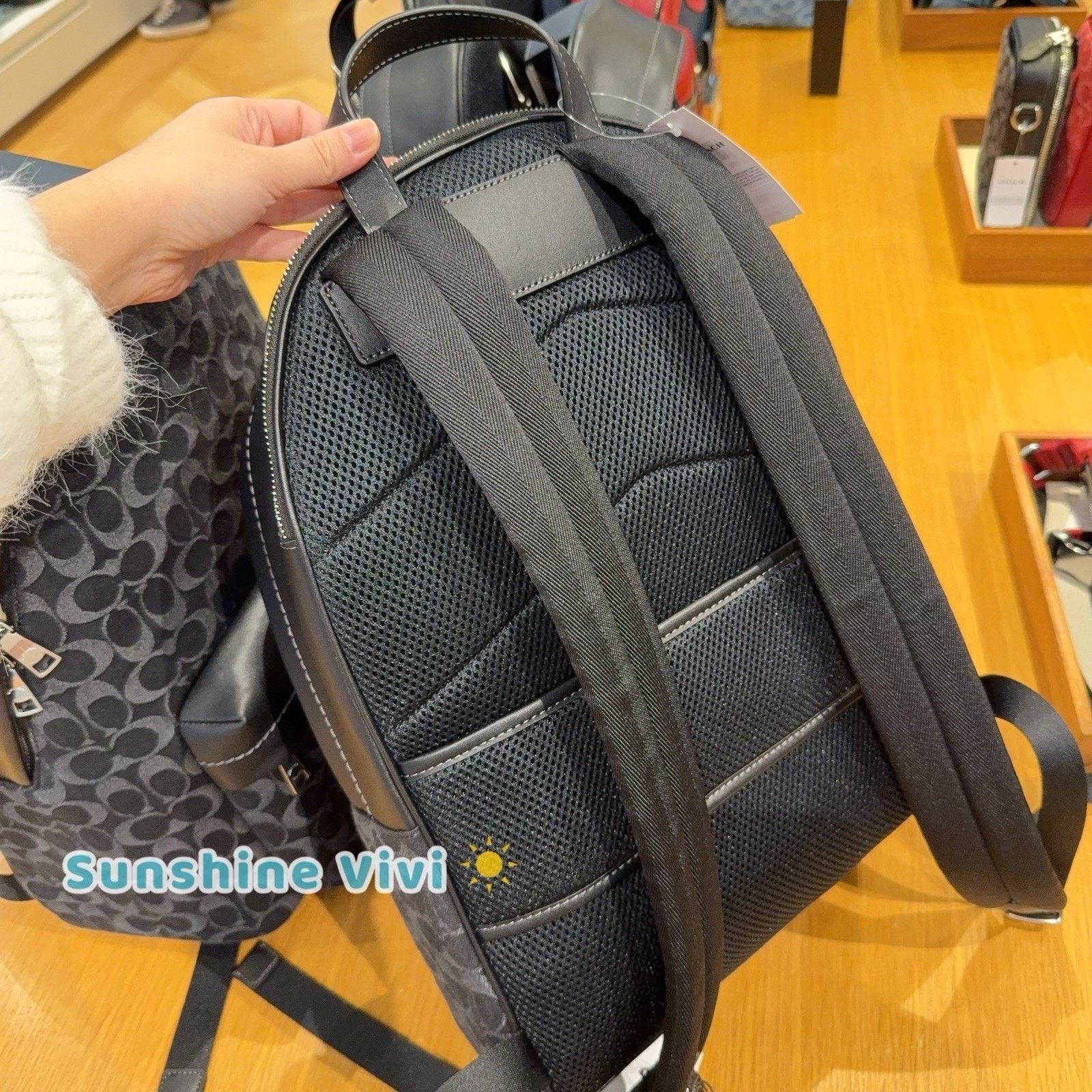 Coach NWT Bundle Coach Taylor Backpack CDC49 & CR466 Chain Strap Size ONE SIZE - 3 Thumbnail