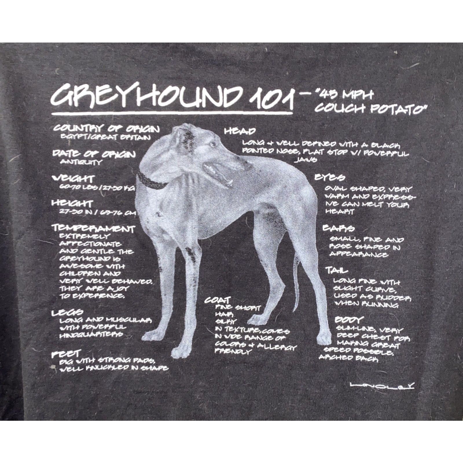 Hanes Hanes Beefy-T Black Short Sleeve T-Shirt Mens XL Grey Hound 101 NWT Size US XL / EU 56 / 4 - 4 Thumbnail