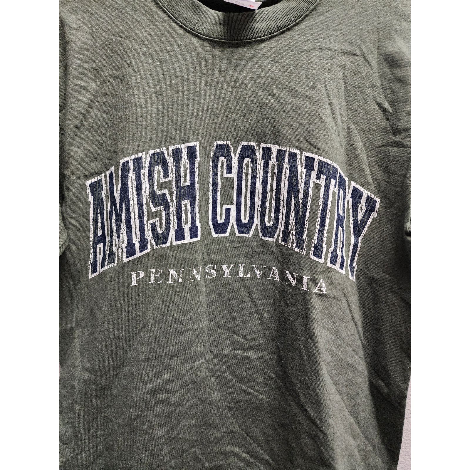 Anvil Y2K Amish Country Pennsylvania Tee Anvil Olive Green M Size US M / EU 48-50 / 2 - 2 Thumbnail
