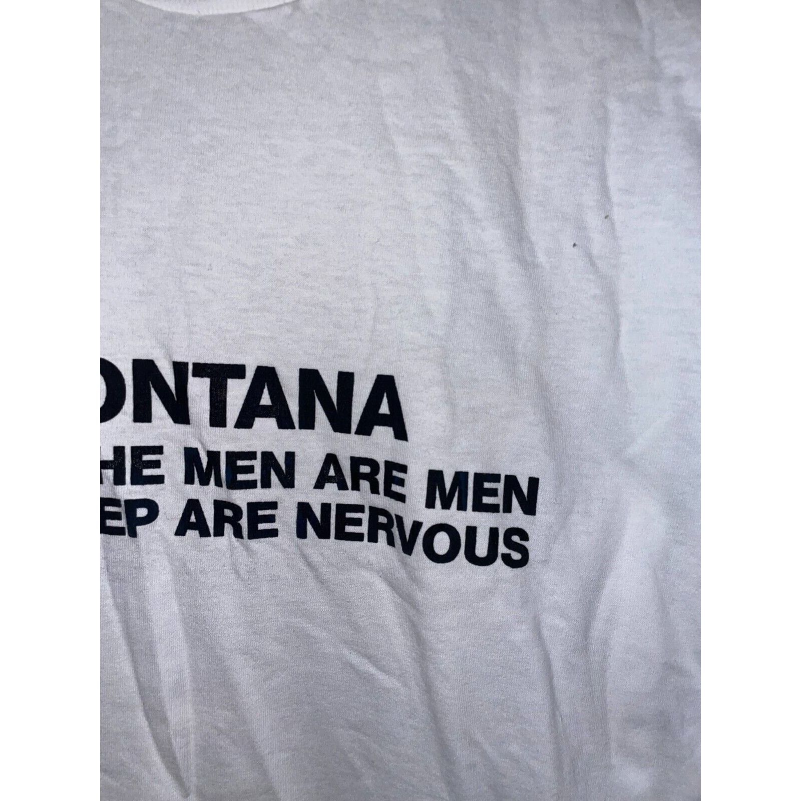 Jerzees 90s Montana Where The Men Are Men Sheep Nervous TX Shirt VTG Size US L / EU 52-54 / 3 - 5 Thumbnail