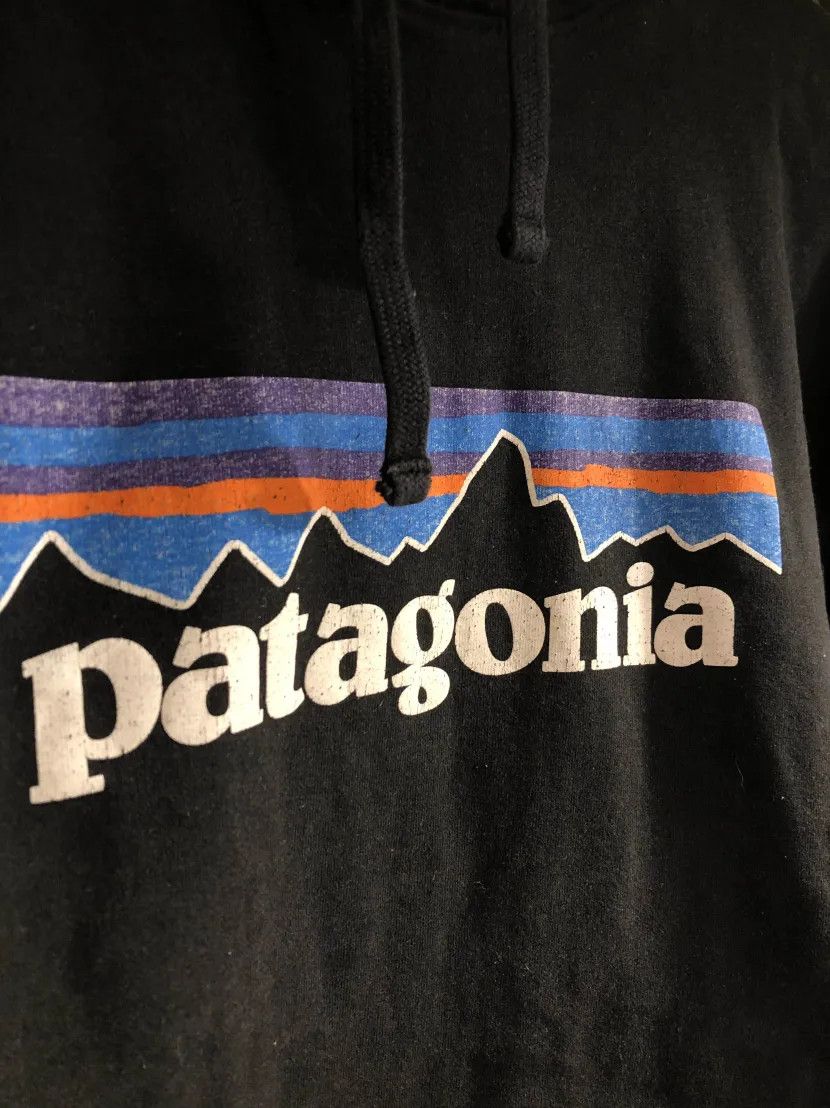 Patagonia Patagonia Hoodie Basic Big Logo Hype Streetwear Hiking Size US M / EU 48-50 / 2 - 3 Thumbnail