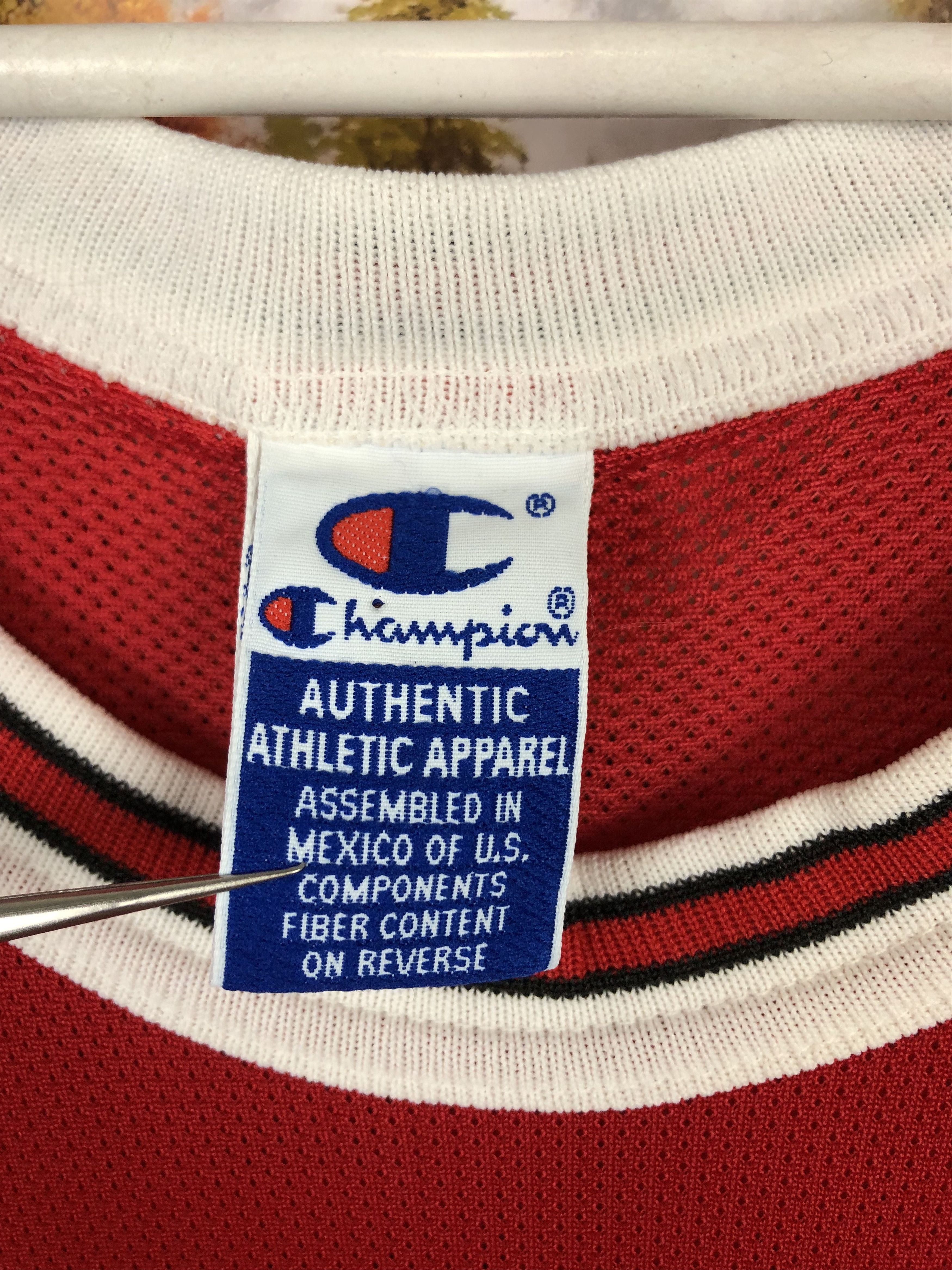 Champion Vintage Champion Dennis Rodman Chicago Bulls Jersey NBA Size US M / EU 48-50 / 2 - 5 Thumbnail
