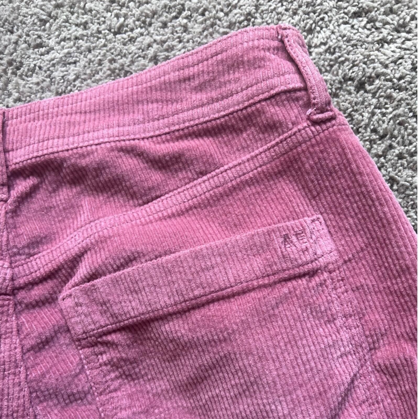 American Eagle Outfitters American Eagle Cargo Pants Womens 6 Pink Corduroy Wide Leg Size 28" / US 6 / IT 42 - 1 Thumbnail