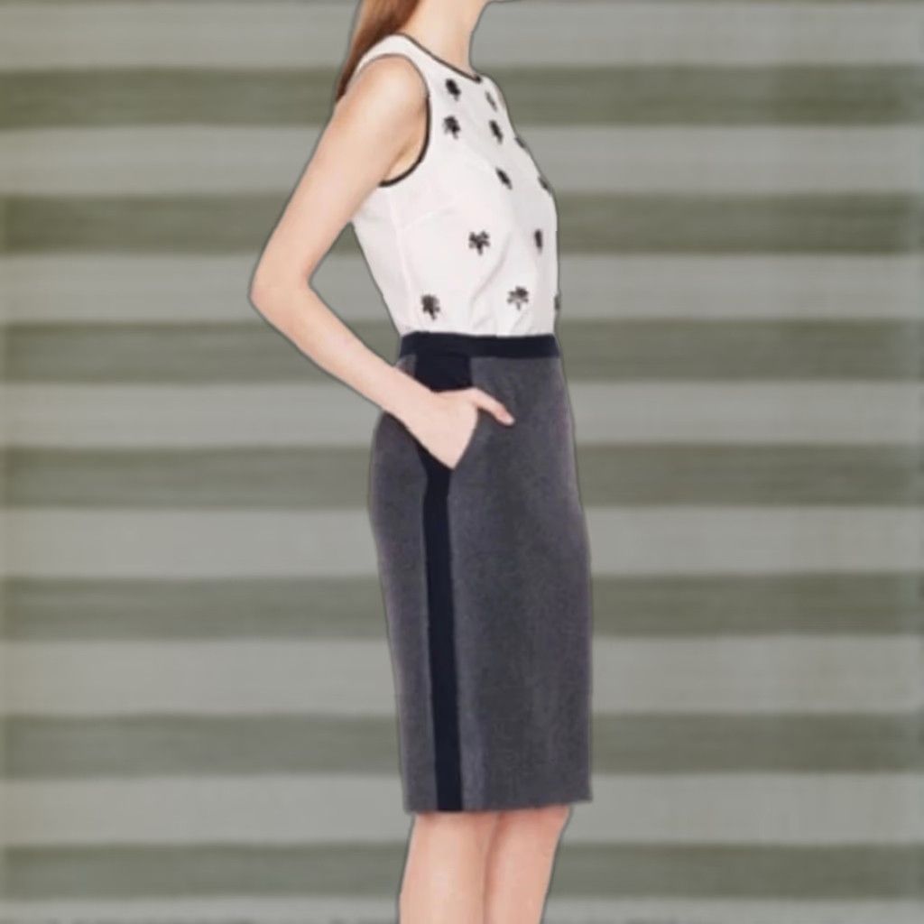 J.Crew J.CREW No. 2 Pencil Wool Skirt Lined Gray 8 Womens Skirt Knee Length Pencil 100% Wool NWT 2013 Fall City Business Casual Side Panels Dry Clean Only Size 30" / US 8 / IT 44 - 1 Thumbnail