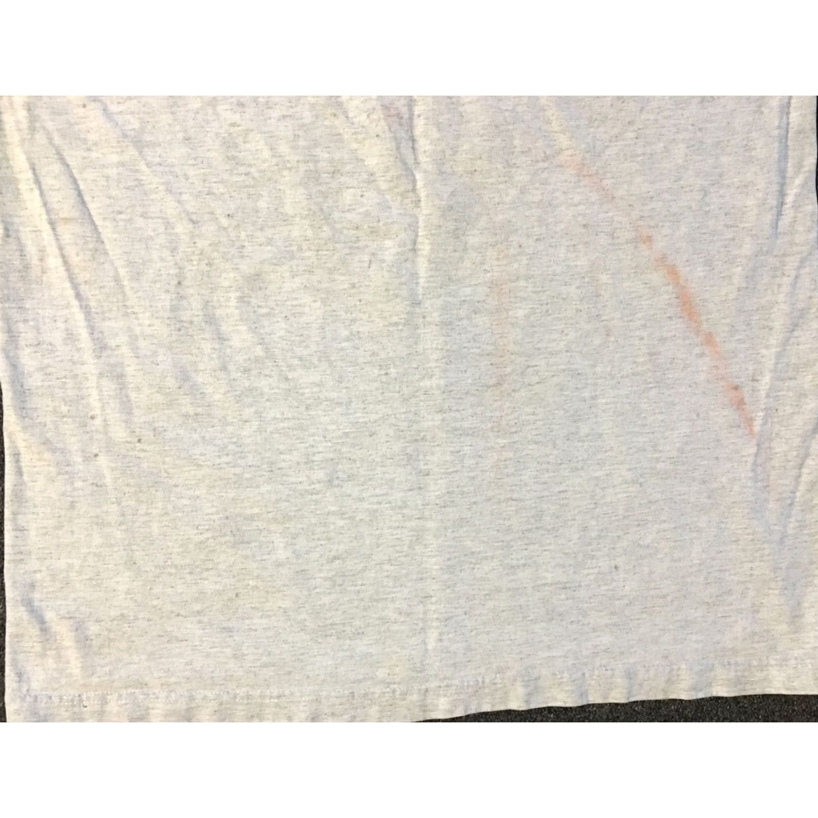 Fruit Of The Loom VINTAGE FOTL Shirt XL Gray 90s Distressed USA Fruit of the Loom Mens Long Sleeve Tee Grunge Biker Skate Surf Track Size US XL / EU 56 / 4 - 6 Thumbnail