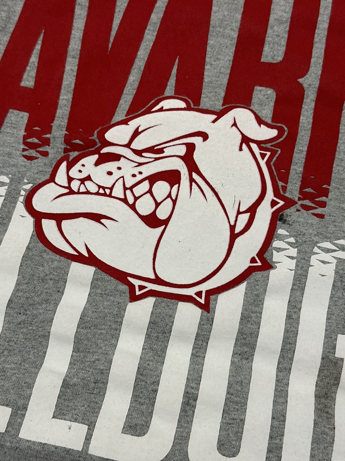 Champion Navarro College Bulldogs Champion Tshirt Big Logo Dawgs XXL Size US XXL / EU 58 / 5 - 9 Thumbnail