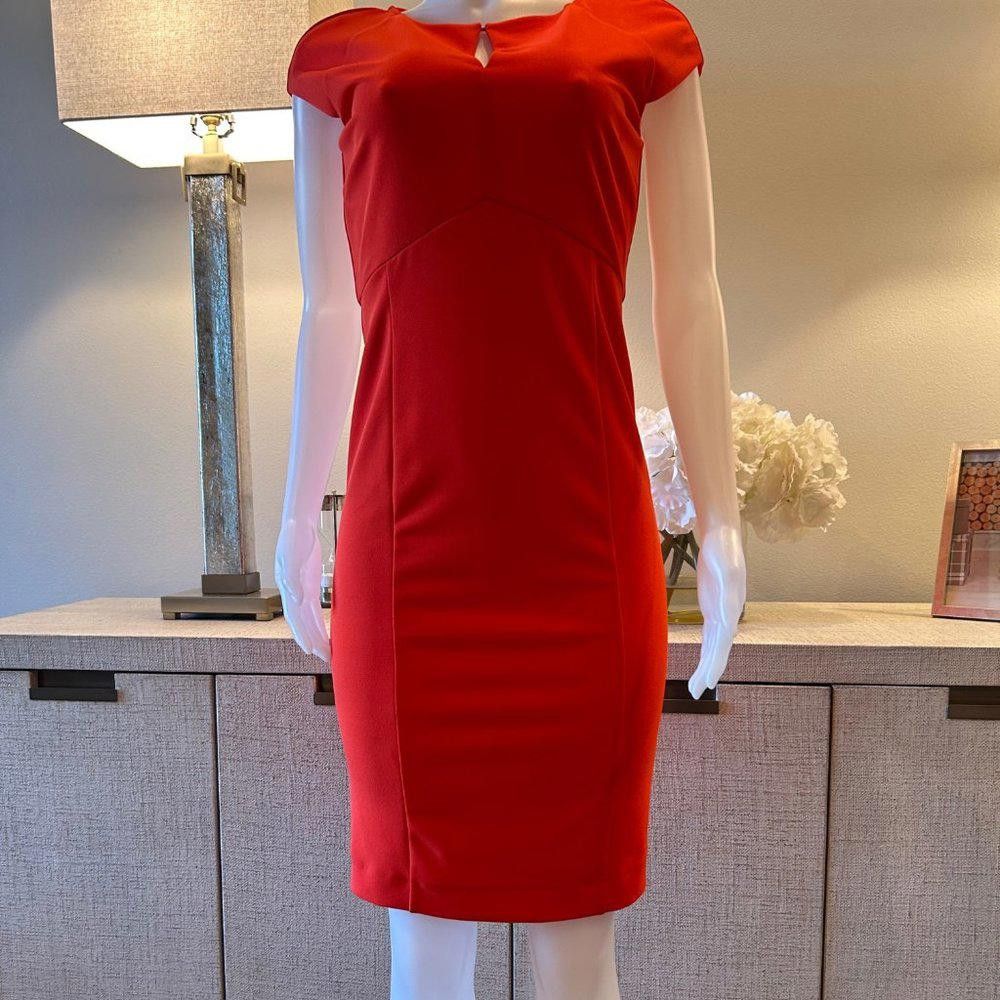 Designer Alex Marie "Tara" Keyhole Pencil Sheath Dress Size M / US 6-8 / IT 42-44 - 1 Thumbnail