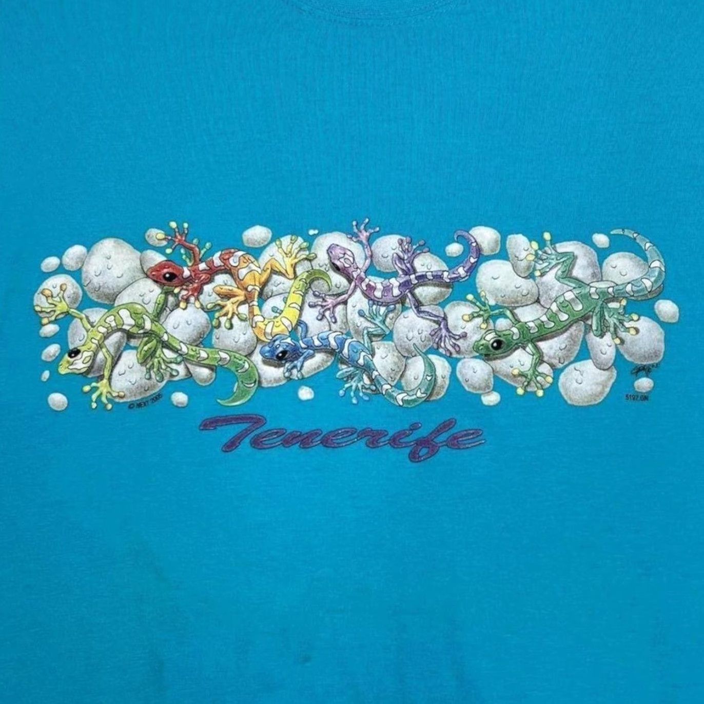 Vintage Tenerife Lizard Reptile Graphic Blue T-Shirt XL Men Size US XL / EU 56 / 4 - 3 Thumbnail