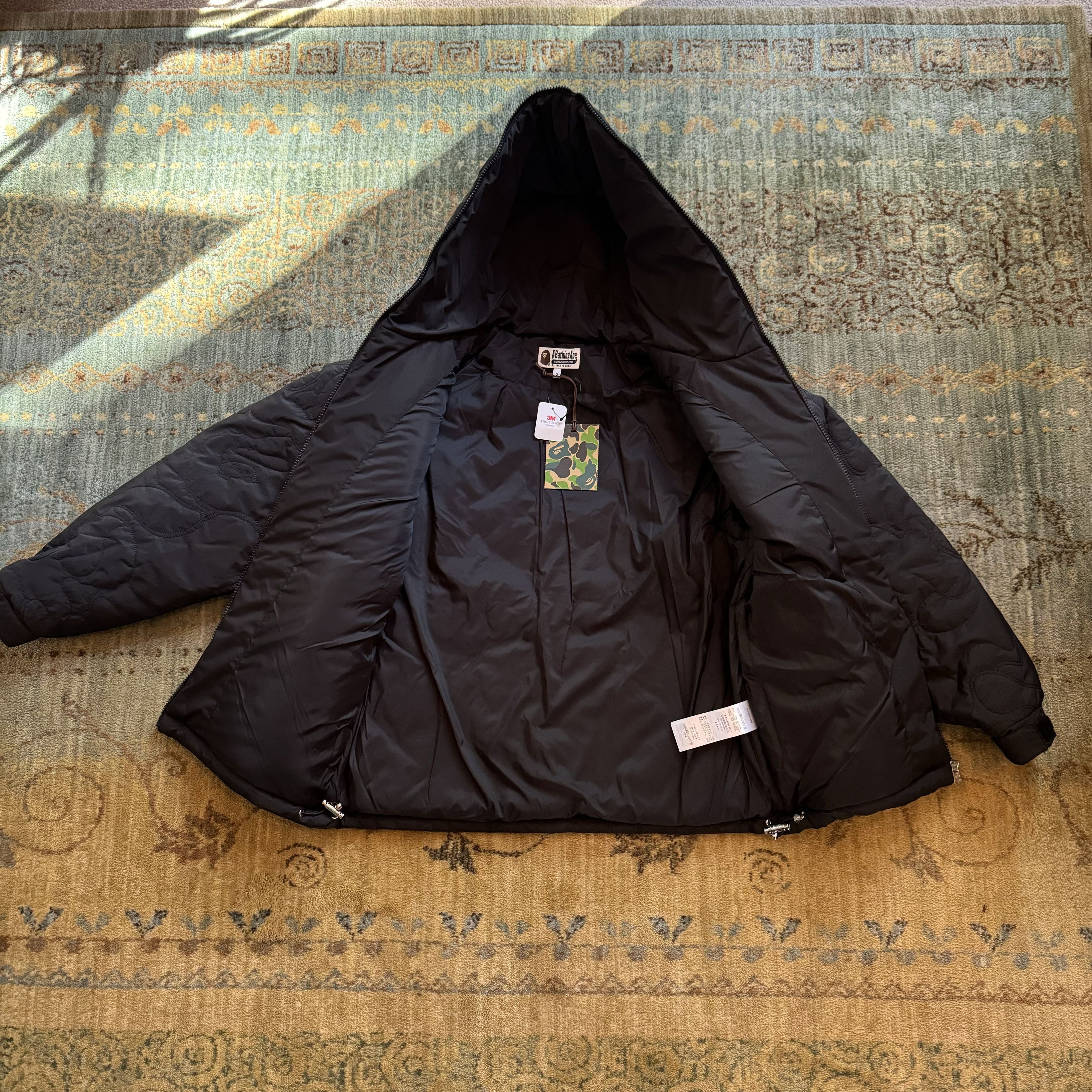 Shark Jacket