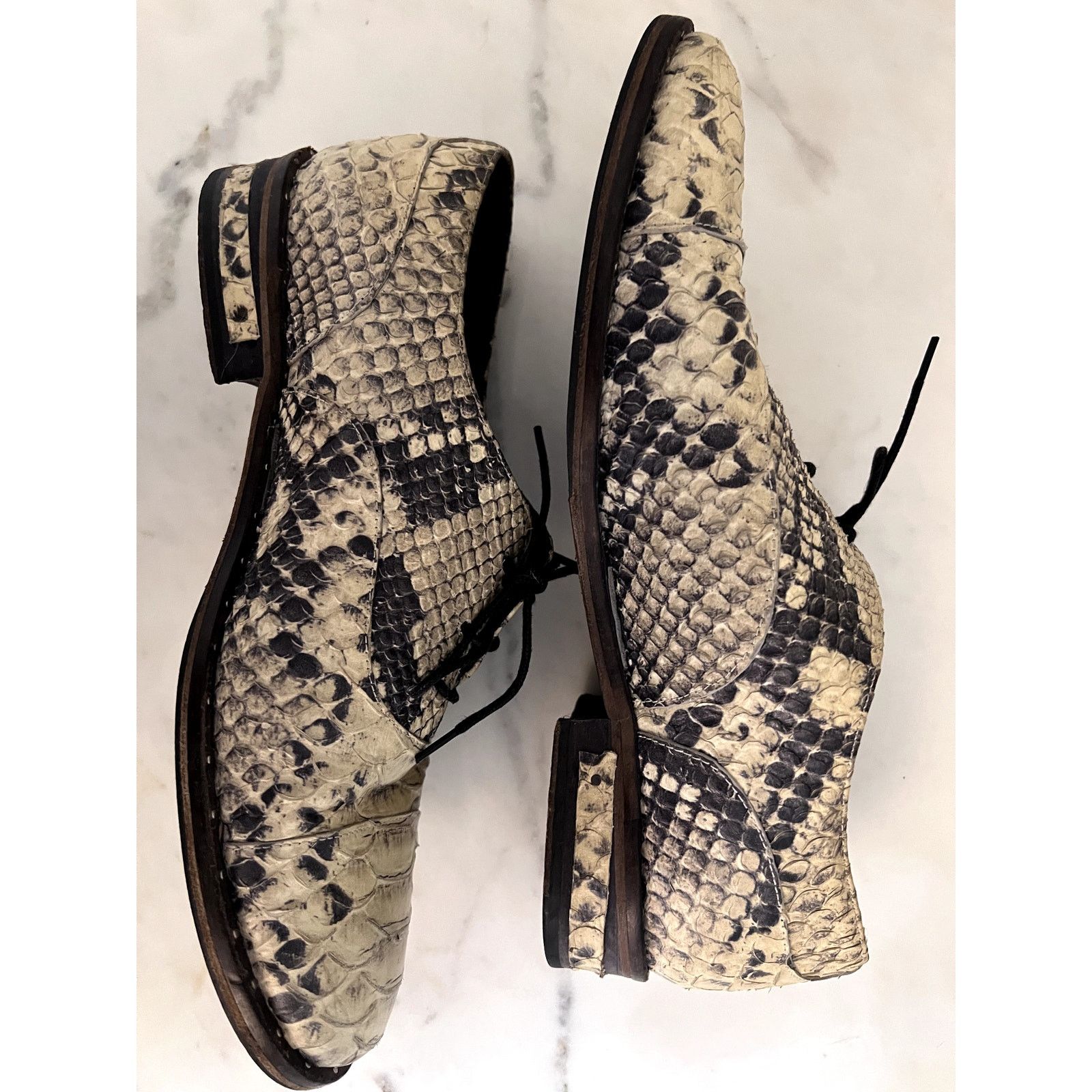 FREDA SALVADOR Freda Salvador "WISH" Lace-up Oxford Snake-embossed Leather Size US 7 / IT 37 - 6 Thumbnail