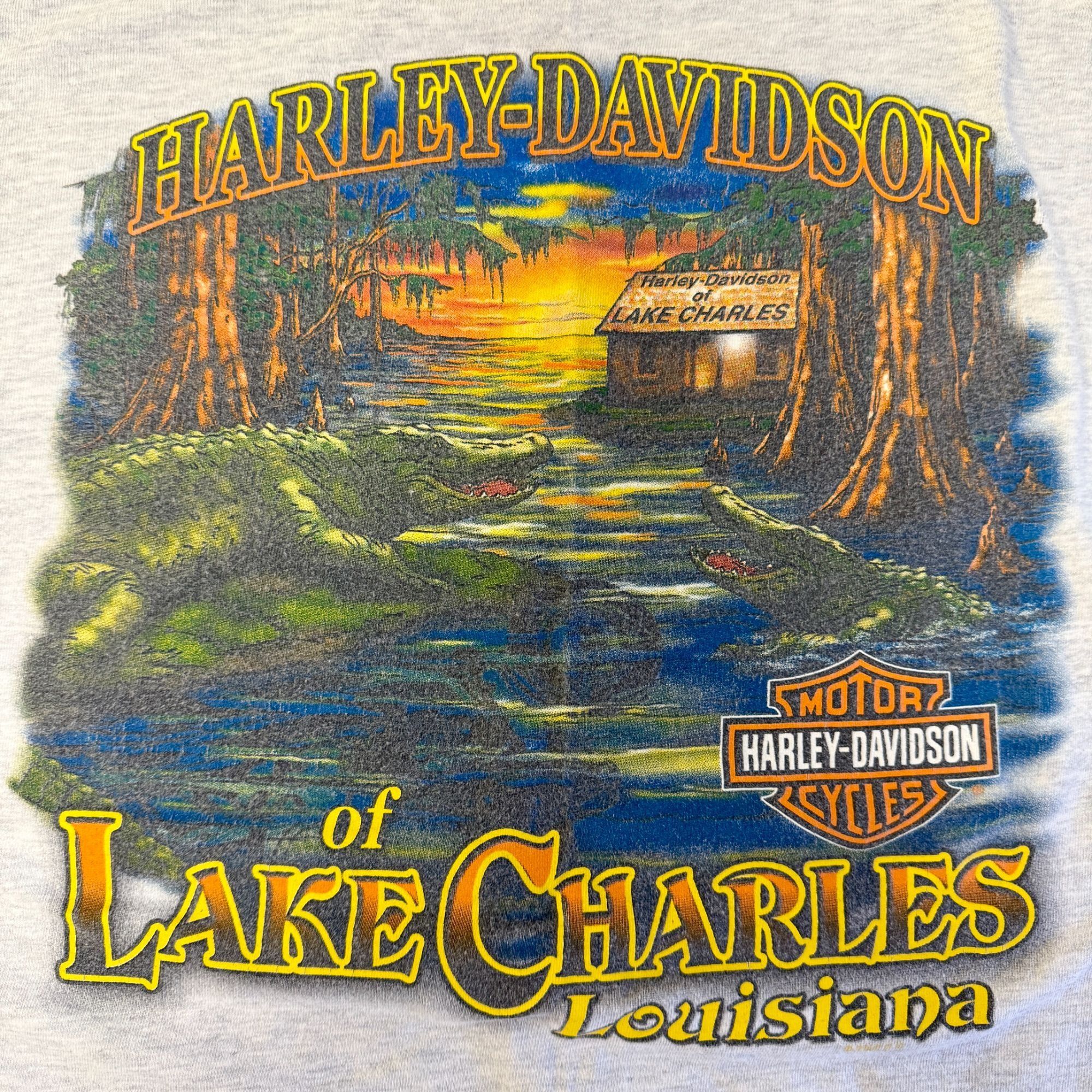 Harley Davidson LAKE CHARLES Louisiana SWAMP GATORS Alligators Motorcycle T Size US M / EU 48-50 / 2 - 1 Thumbnail