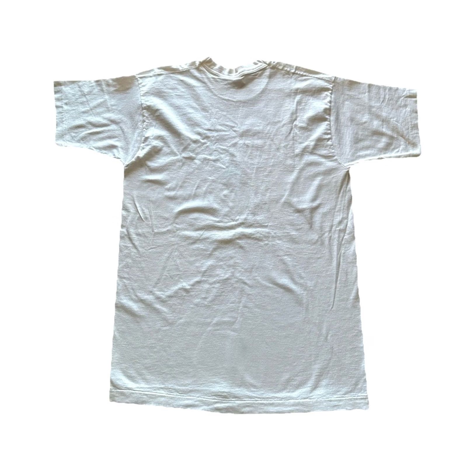 Hanes VINTAGE Green Eggs And Ham T-Shirt Large White Single Stitch 80s USA Made Dr. Seuss Hanes Mens L Shirt Size US L / EU 52-54 / 3 - 6 Thumbnail