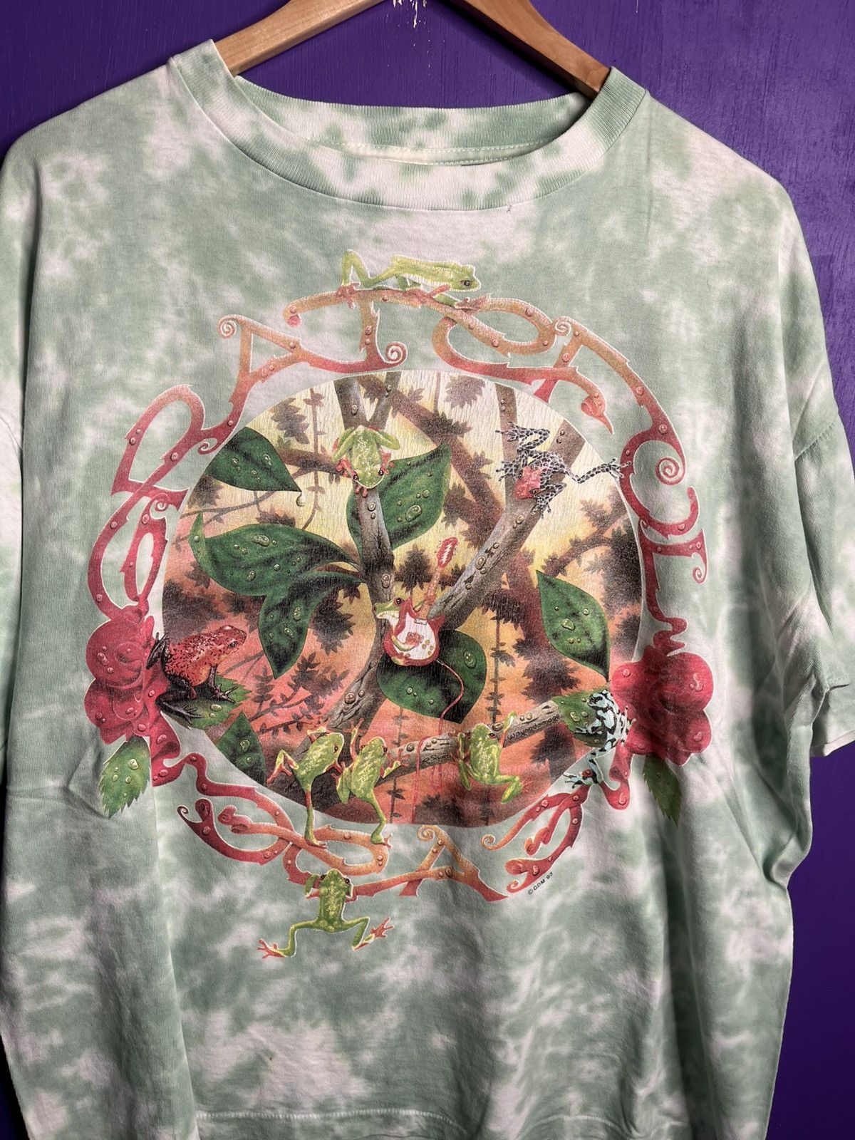 Band Tees Vintage 1993 Grateful Dead fall tour rainforest t-shirt Size US XL / EU 56 / 4 - 3 Thumbnail