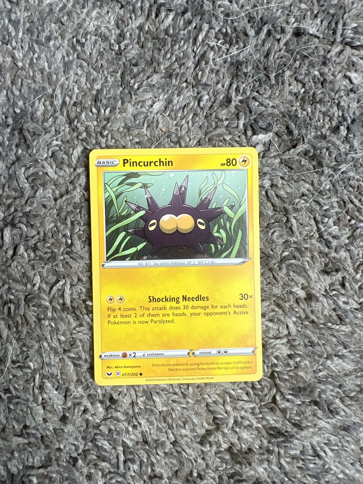 Pokemon 2020 Pokémon Pincurchin Basic Card Size ONE SIZE - 1 Thumbnail