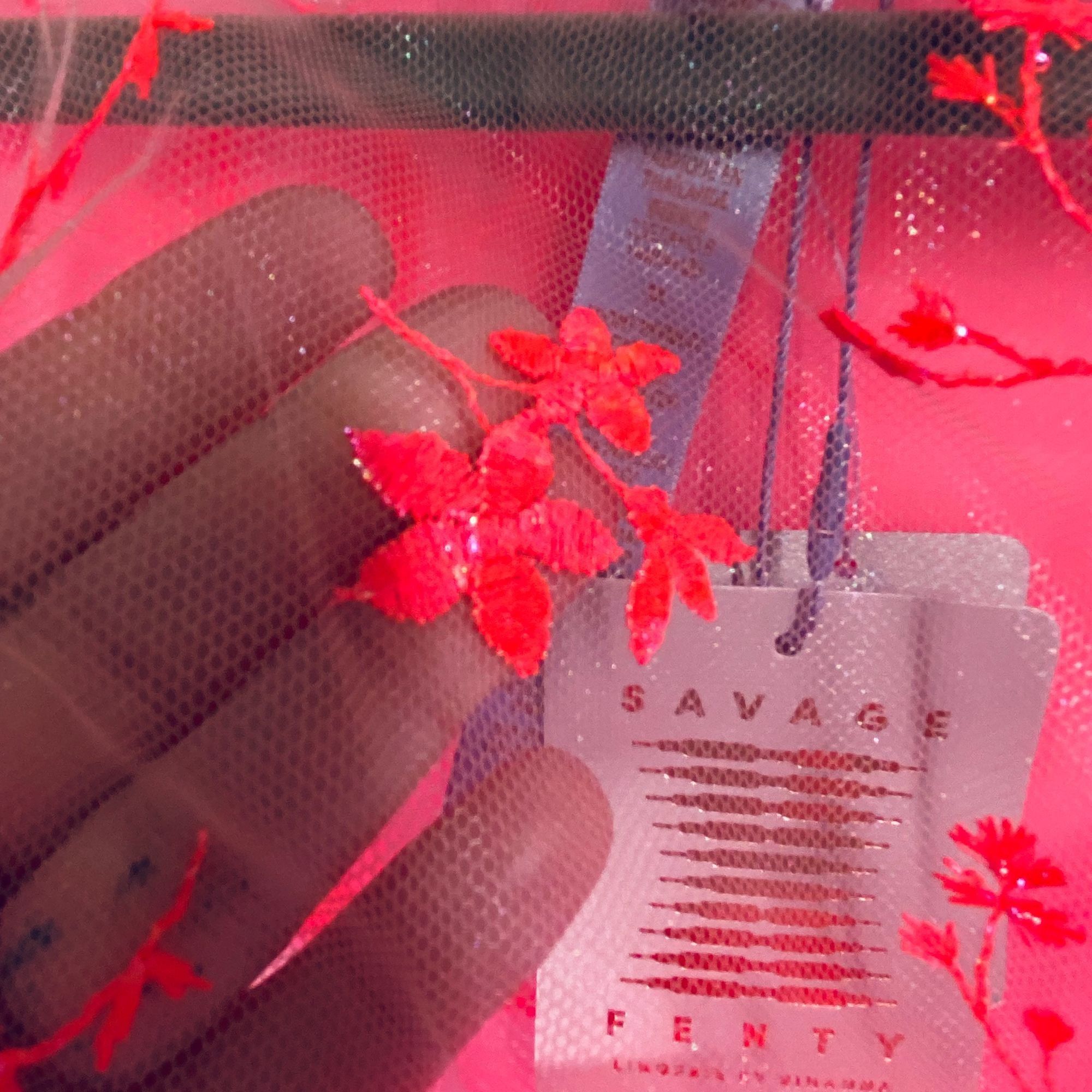 Other Savage X Fenty Red Floral Sheer Bikini Panties 2X Size ONE SIZE - 4 Thumbnail