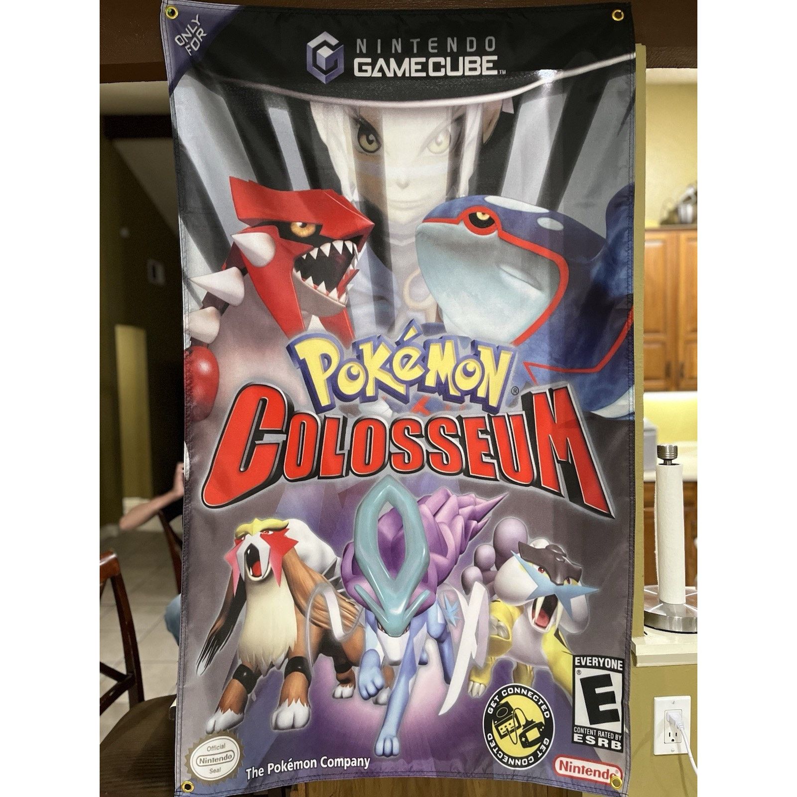 Nintendo Pokémon Colosseum 5ft Flag Banner Nintendo GameCube 2004 Size ONE SIZE - 1 Thumbnail
