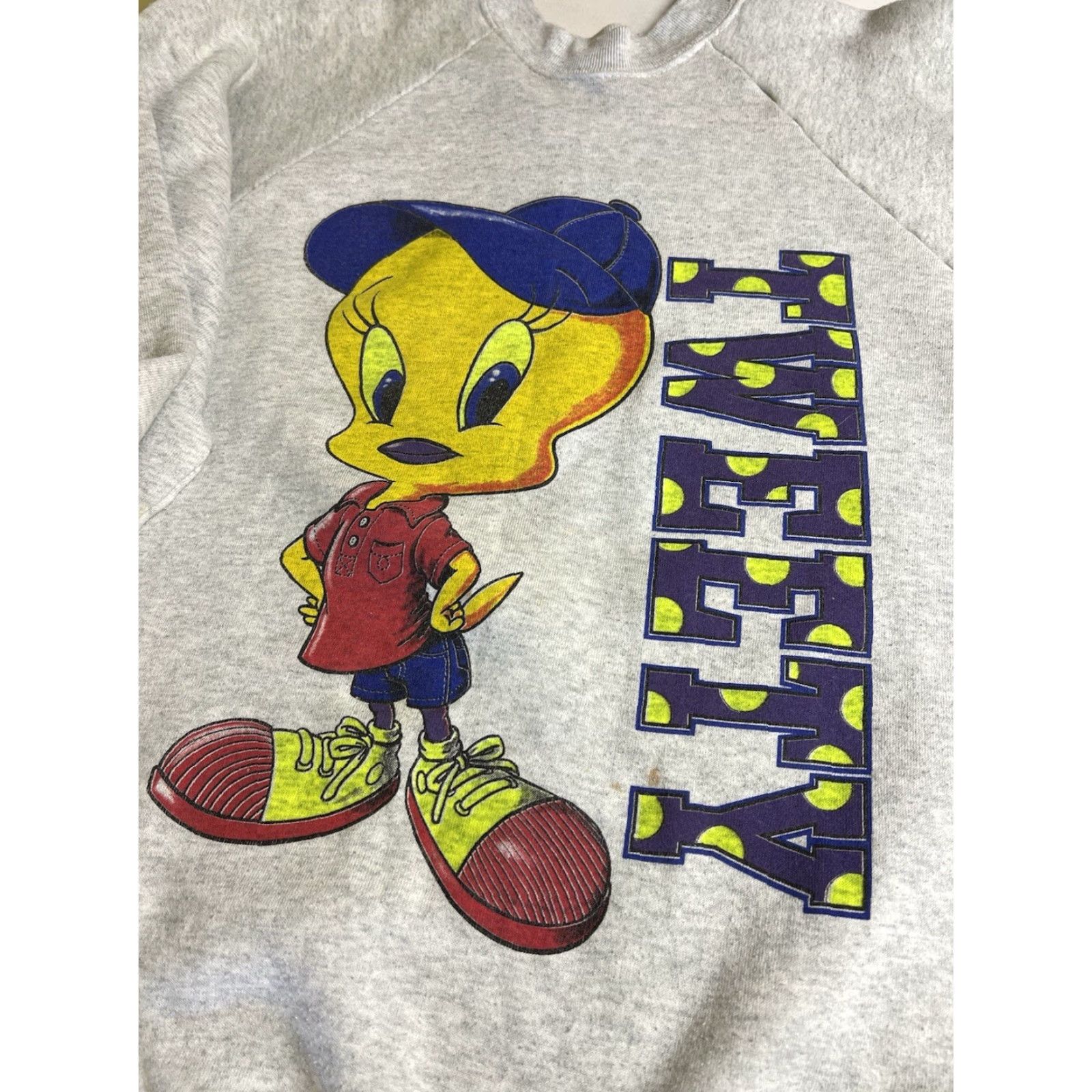 Fruit Of The Loom VINTAGE Fruit of the Loom Tweety Bird Sweatshirt Gray XL Men Pullover Crew Neck Graphic Print 90s Cartoon US Made Stains-pilling Size US XL / EU 56 / 4 - 5 Thumbnail