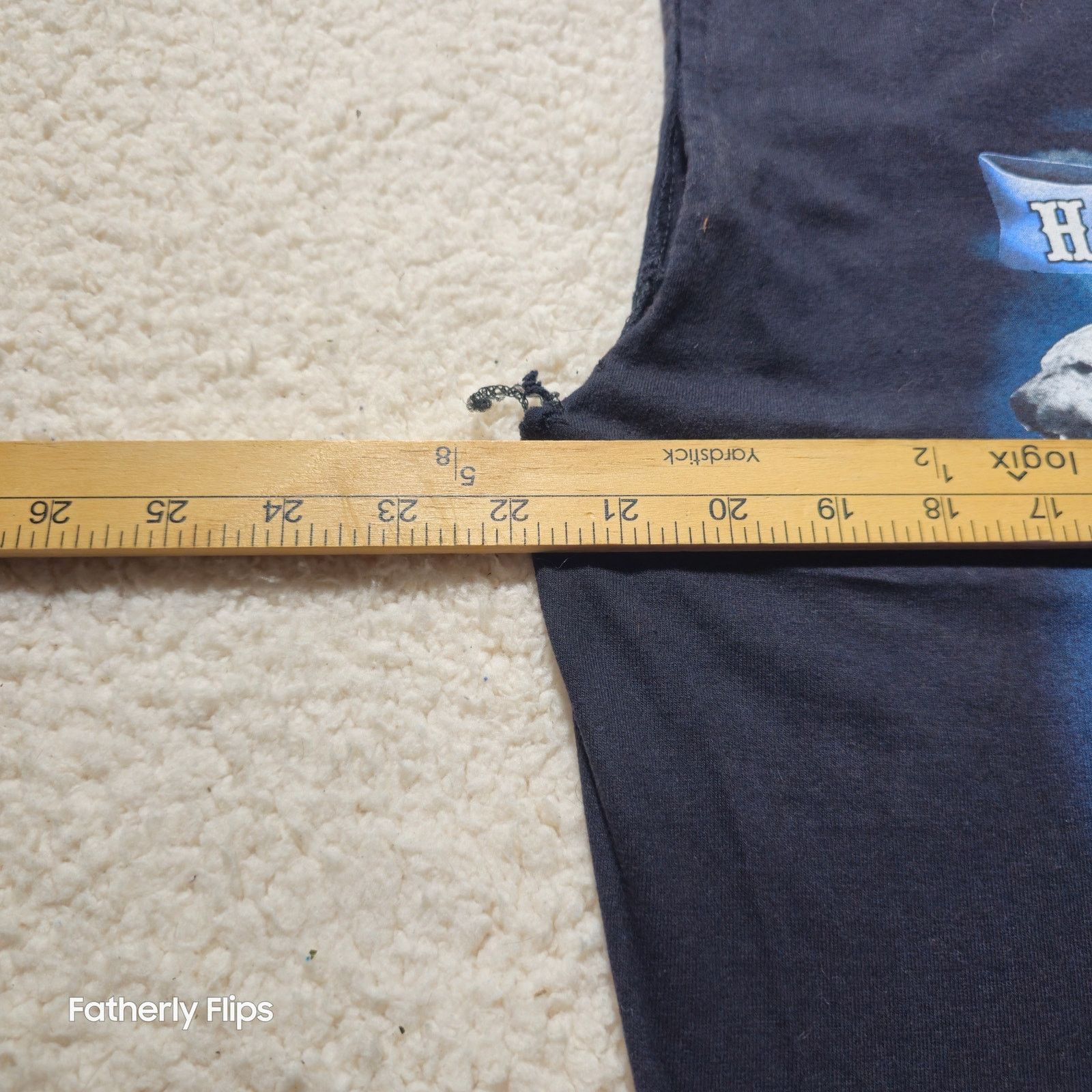 Harley Davidson 2007 Harley Davidson Alaska Polar Bear Muscle T-Shirt L Size US L / EU 52-54 / 3 - 5 Thumbnail
