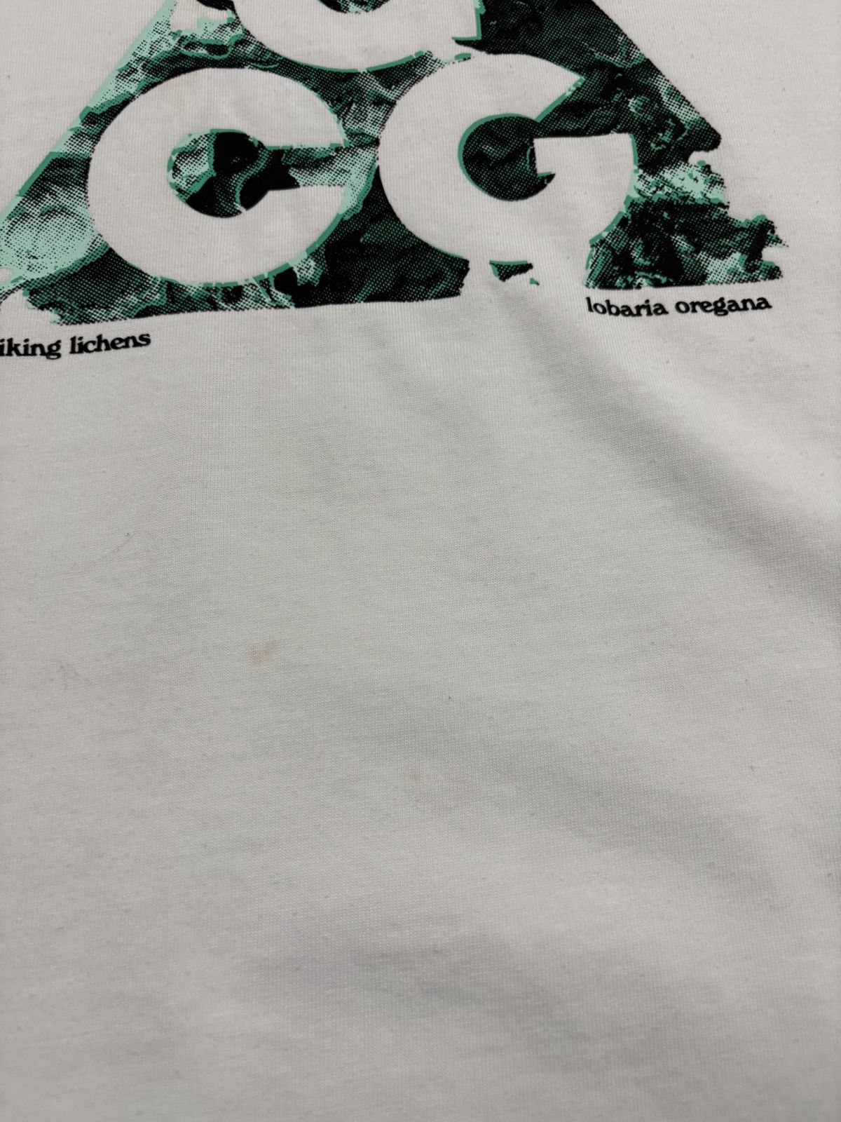 Nike ACG Nike ACG Big Logo Liking Liches Graphic T-Shirt White Medium Size US M / EU 48-50 / 2 - 5 Thumbnail