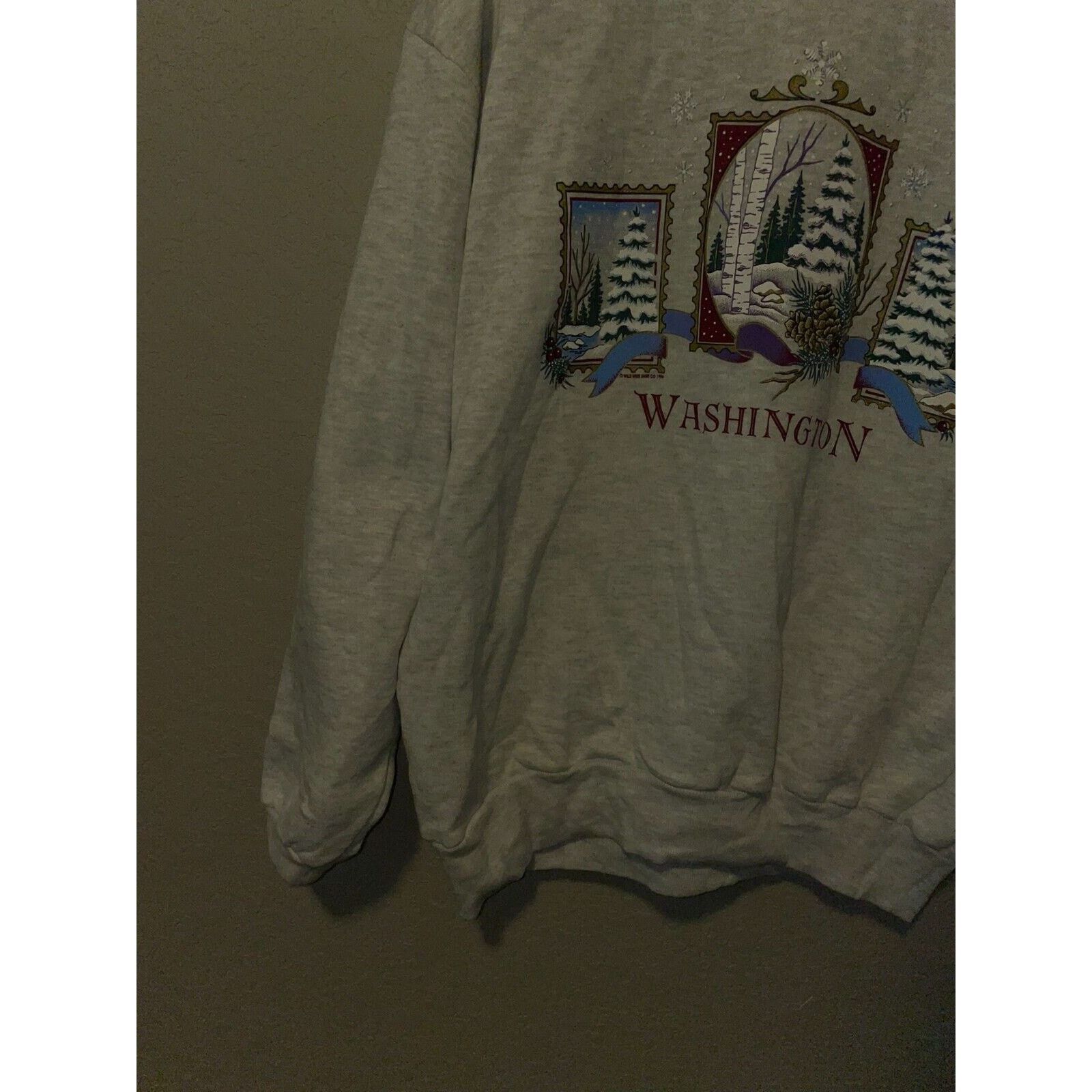 Jerzees Vintage Washington Sweatshirt Crewneck Snow VTG 90s XL Size US XL / EU 56 / 4 - 7 Thumbnail