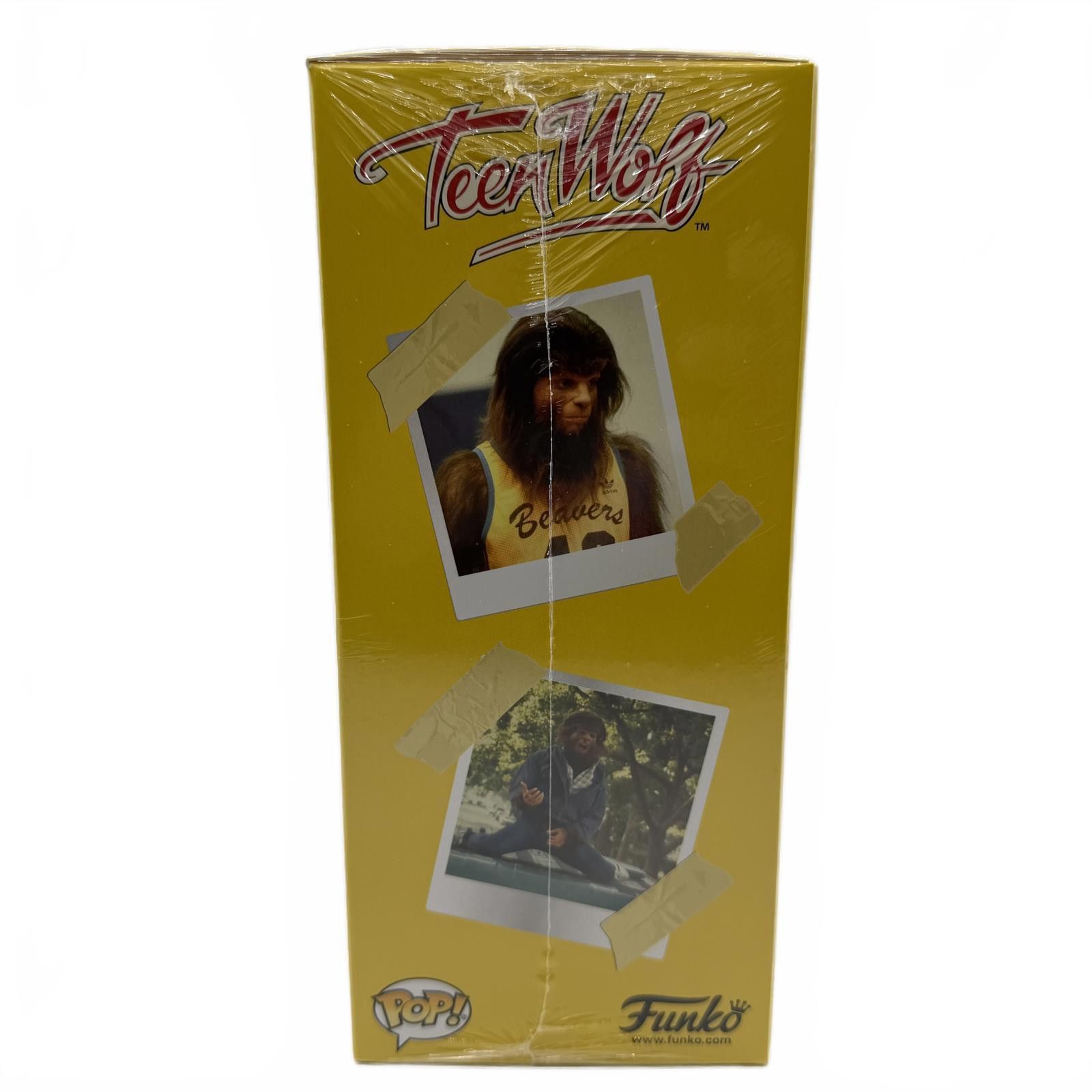 Other Funko POP! Teen Wolf Scott Howard #772 Flocked & Shirt L Size ONE SIZE - 3 Thumbnail