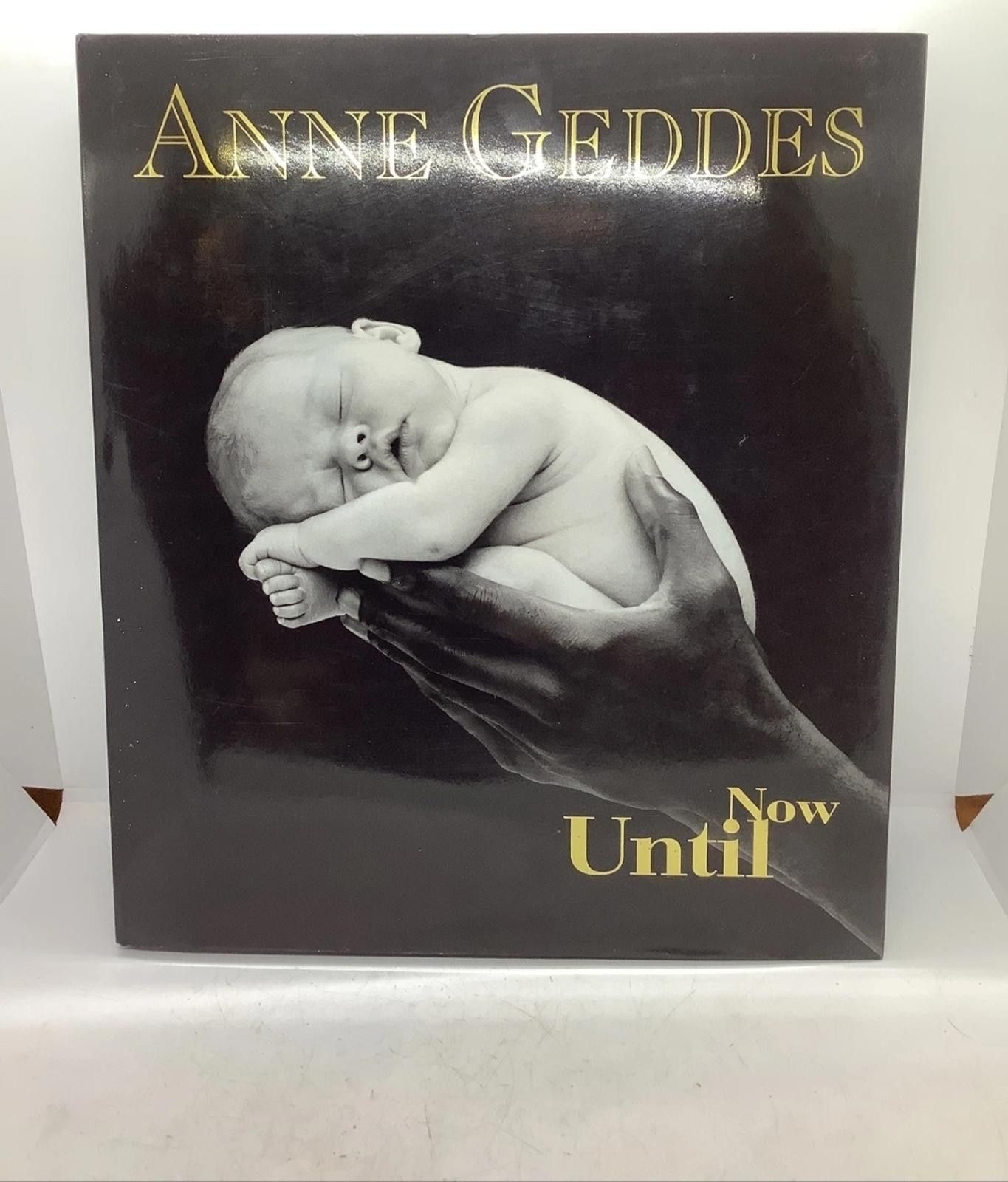 Other Until Now Book by Anne Geddes Size ONE SIZE - 4 Thumbnail