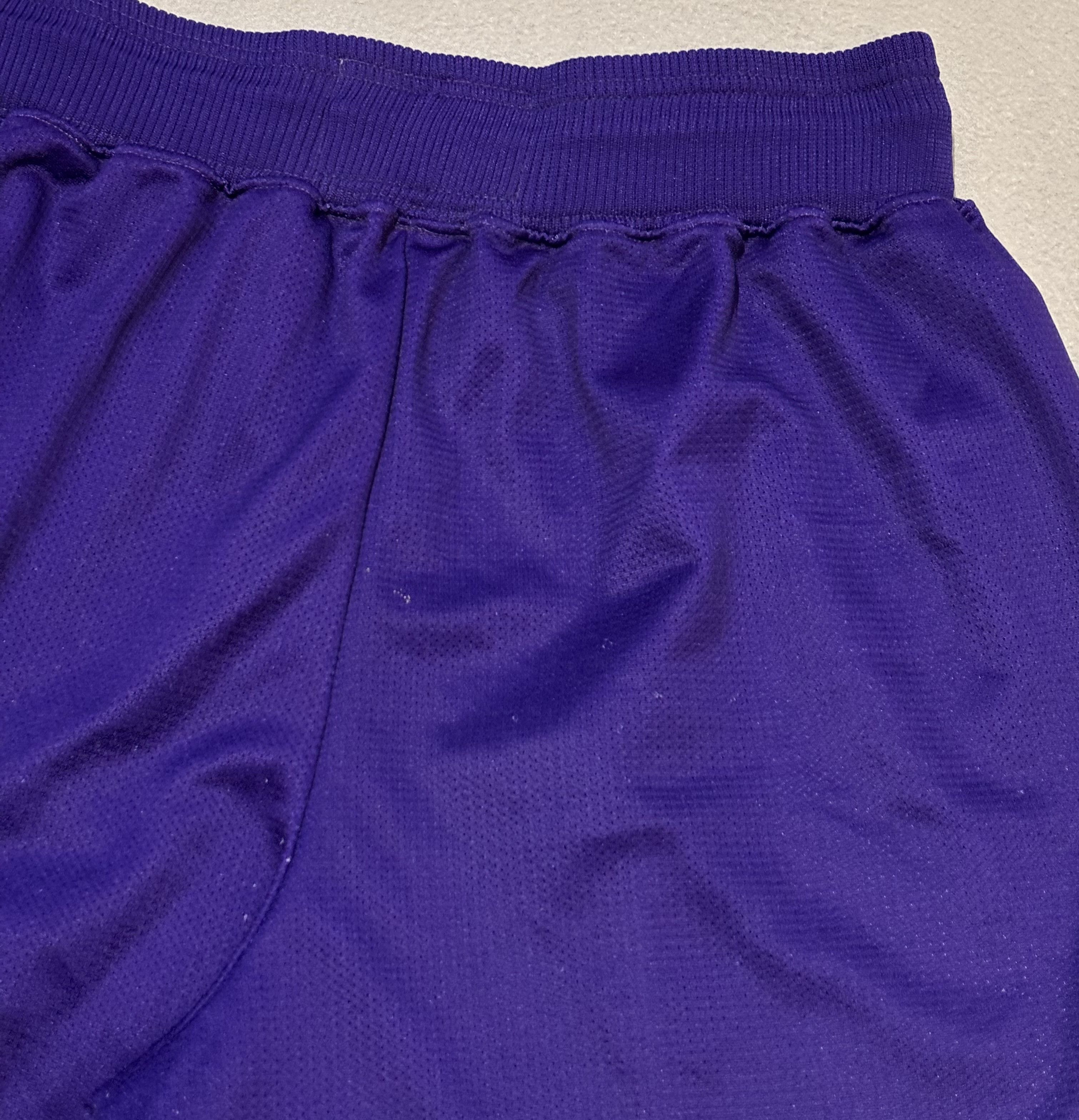 Champion Charlotte Hornets 90s Champion NBA Vintage Basketball Shorts Size US 35 - 16 Thumbnail