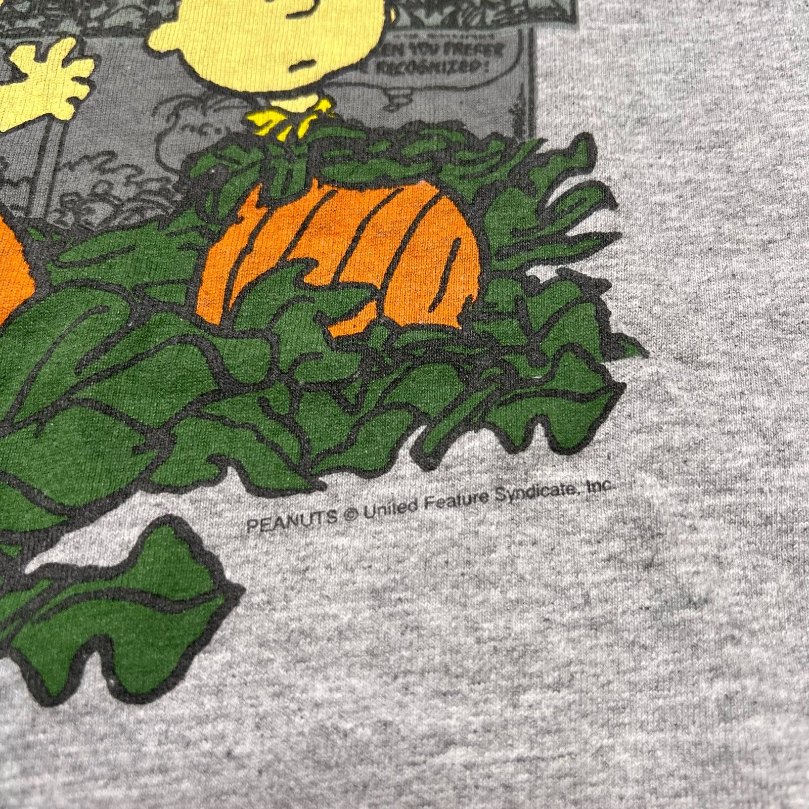 Peanuts Peanuts It’s The Great Pumpkin Charlie Brown T-Shirt Sz XL Size US XL / EU 56 / 4 - 3 Thumbnail