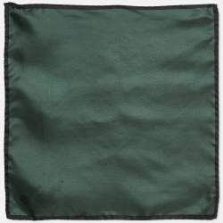 o1y1224 Size: OS / Scarf in Silk Green/Black