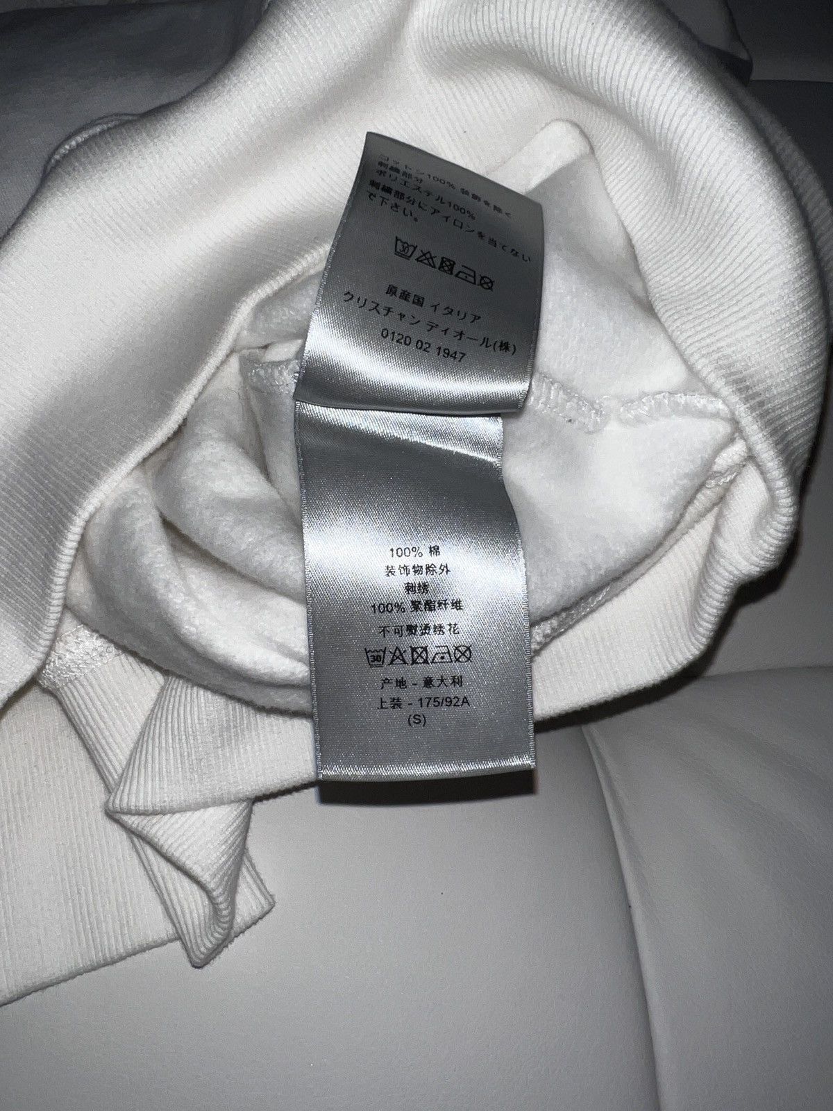 Dior Dior x Peter Doig logo hoodie Size US S / EU 44-46 / 1 - 6 Thumbnail