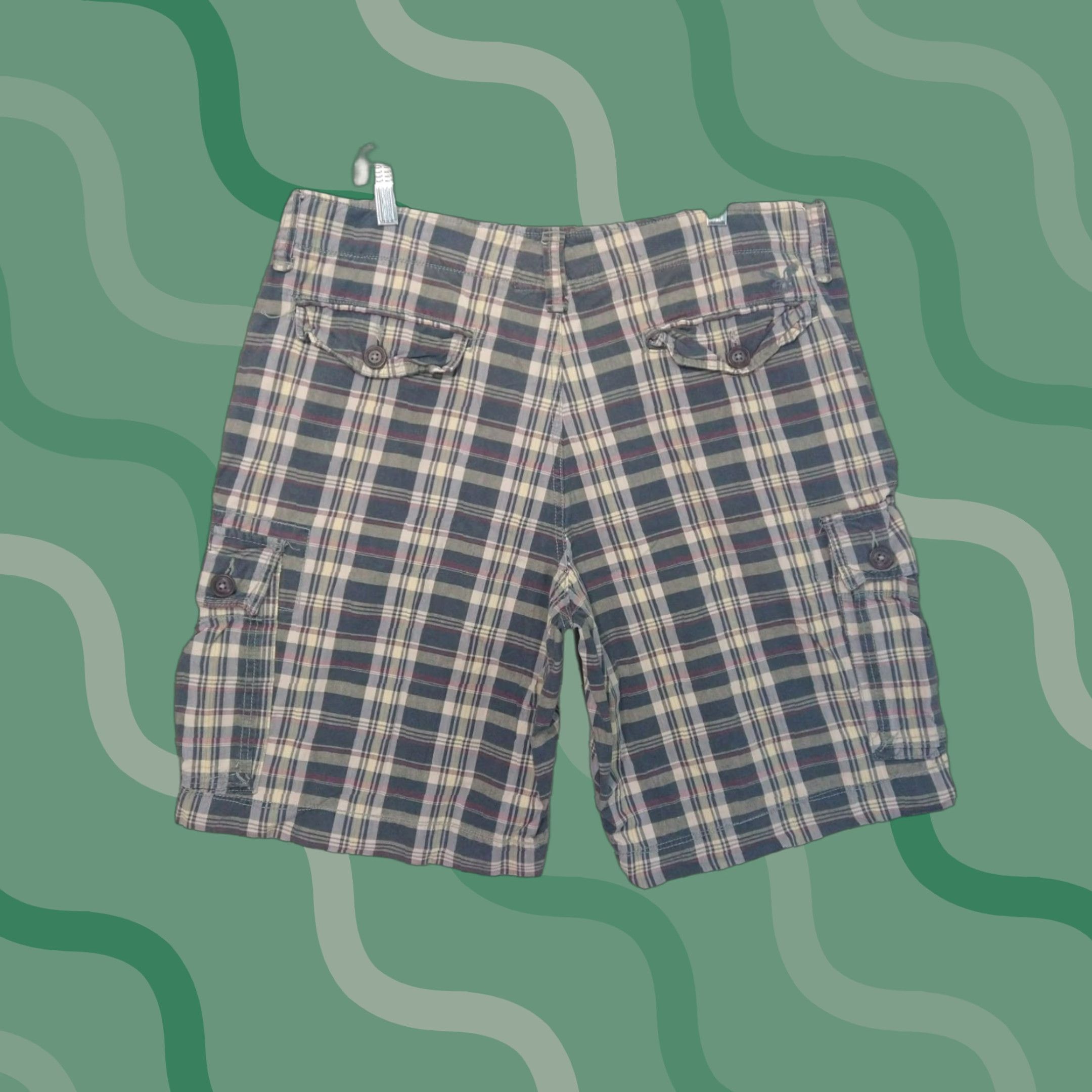 American Eagle Outfitters American Eagle Outfitters Cargo Shorts Mens 36 Blue Plaid Classic Grunge Casual Size US 36 / EU 52 - 1 Thumbnail