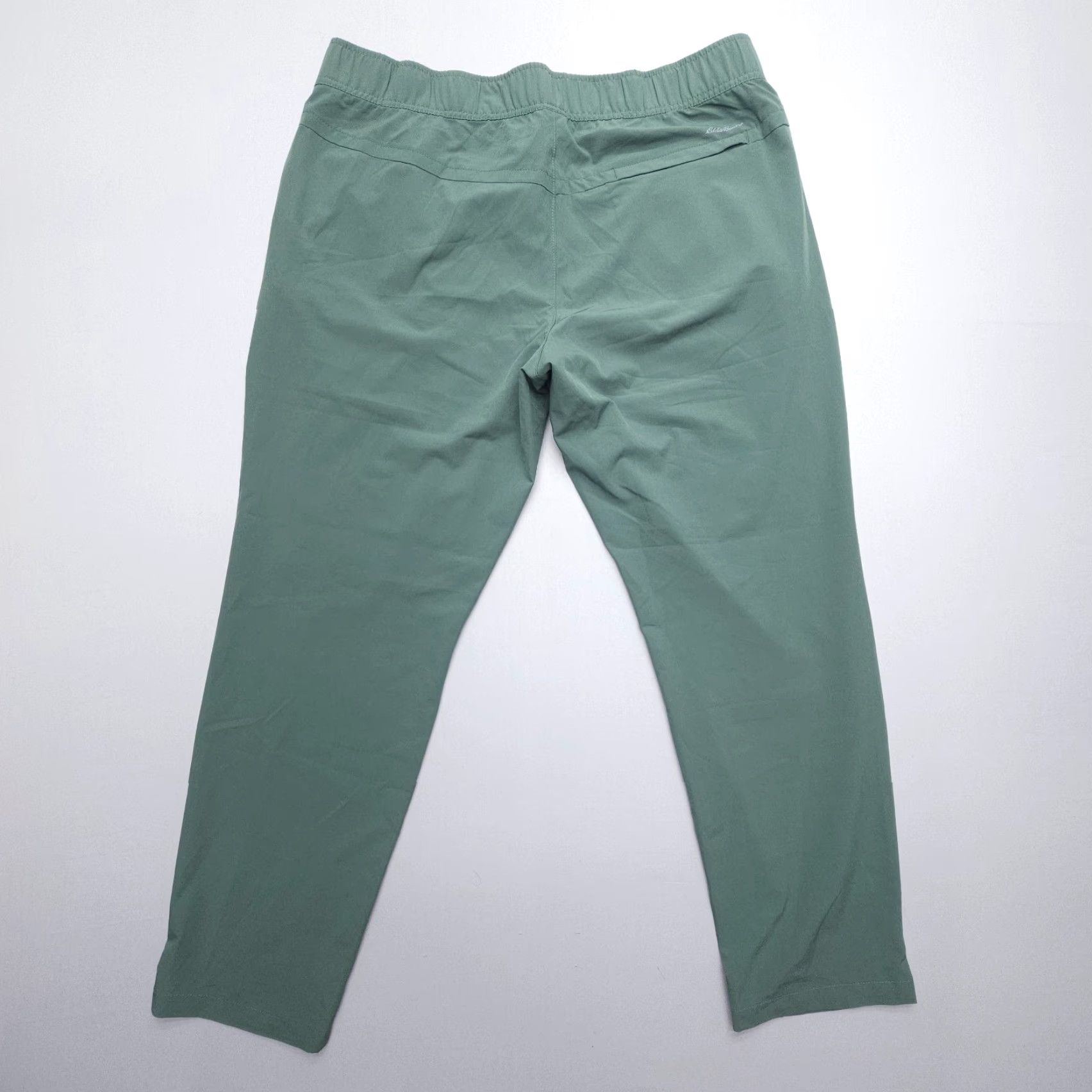 Eddie Bauer Eddie Bauer Ladies Traveler Pants Womens Large Green Pull On Stretch Hiking Tech Pants Size 36" / US 14 / IT 50 - 2 Thumbnail