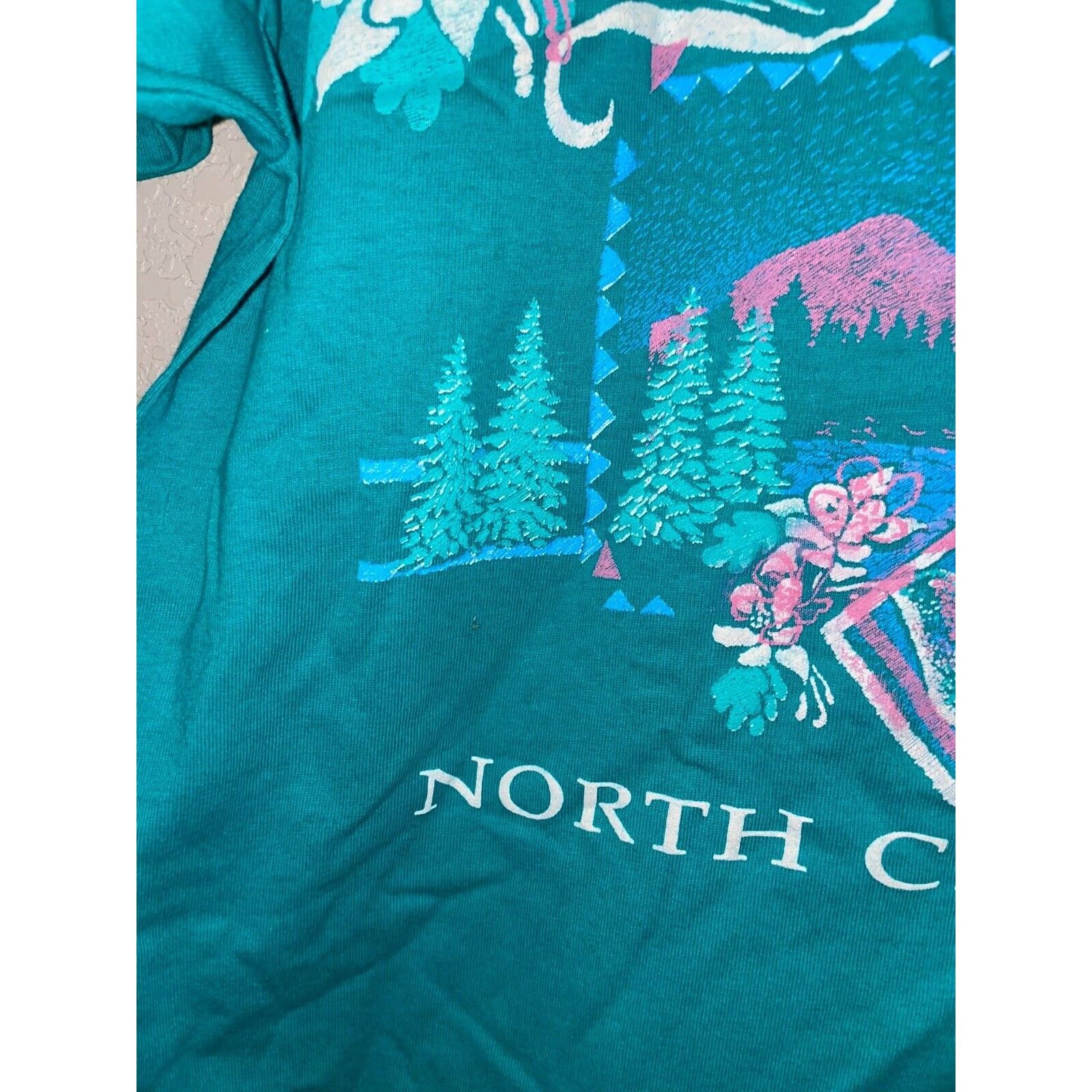 Jerzees Vintage Brevard North Carolina Shirt teal Tee VTG 90s Medium Size US M / EU 48-50 / 2 - 7 Thumbnail