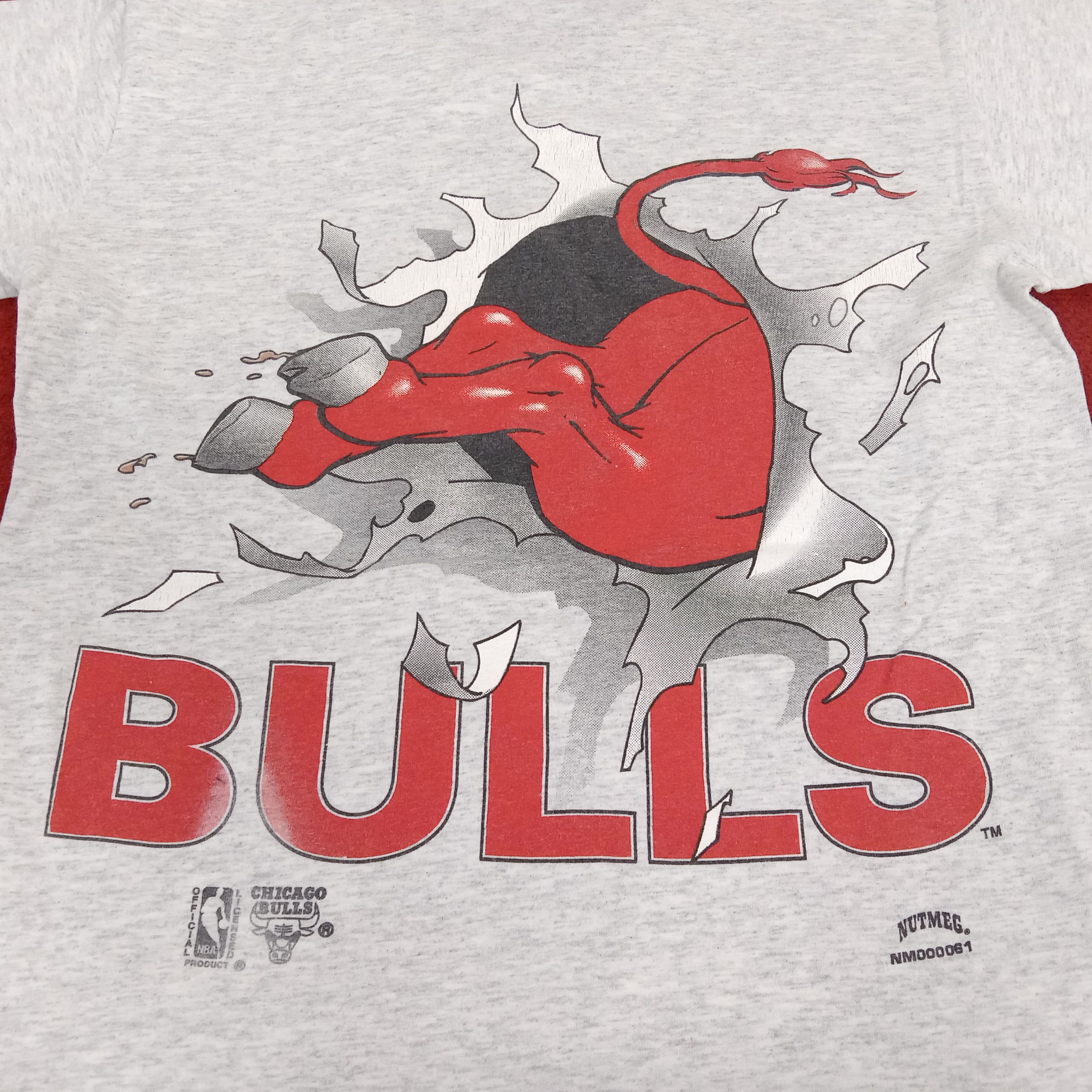 NBA × Nutmeg × Vintage Chicago Bulls Professional Basketball Team Vintage Tshirt Size US M / EU 48-50 / 2 - 4 Thumbnail