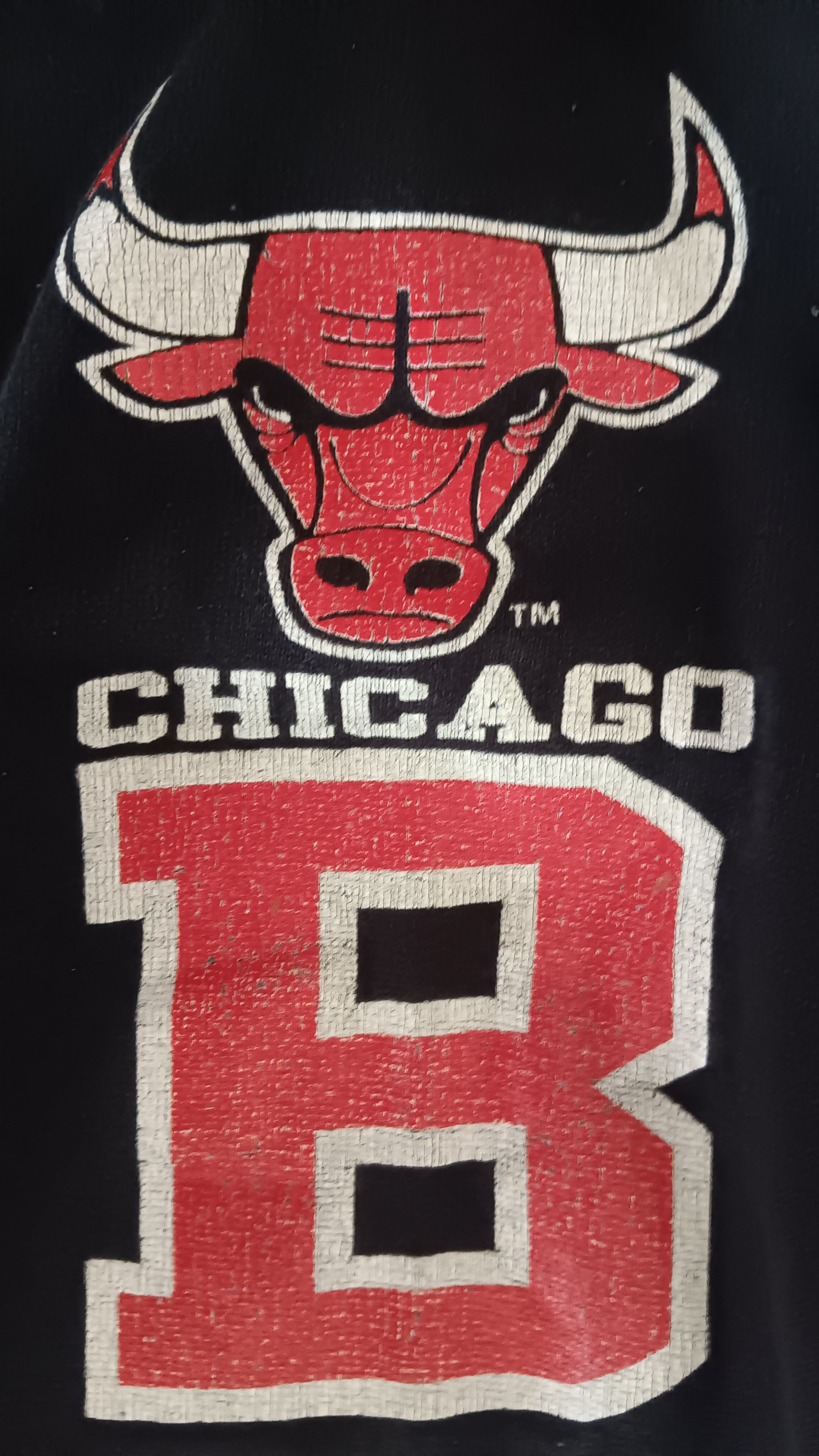 Nutmeg Vintage | Chicago Bulls Jogpant Size US 35 - 9 Thumbnail