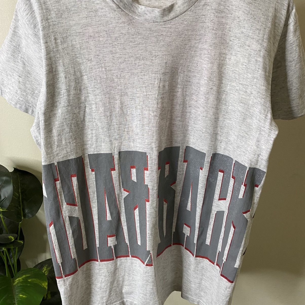 Nike Vintage 90s Nike Jordan Pippen Back 2 Back NBA T shirt Size US M / EU 48-50 / 2 - 4 Thumbnail