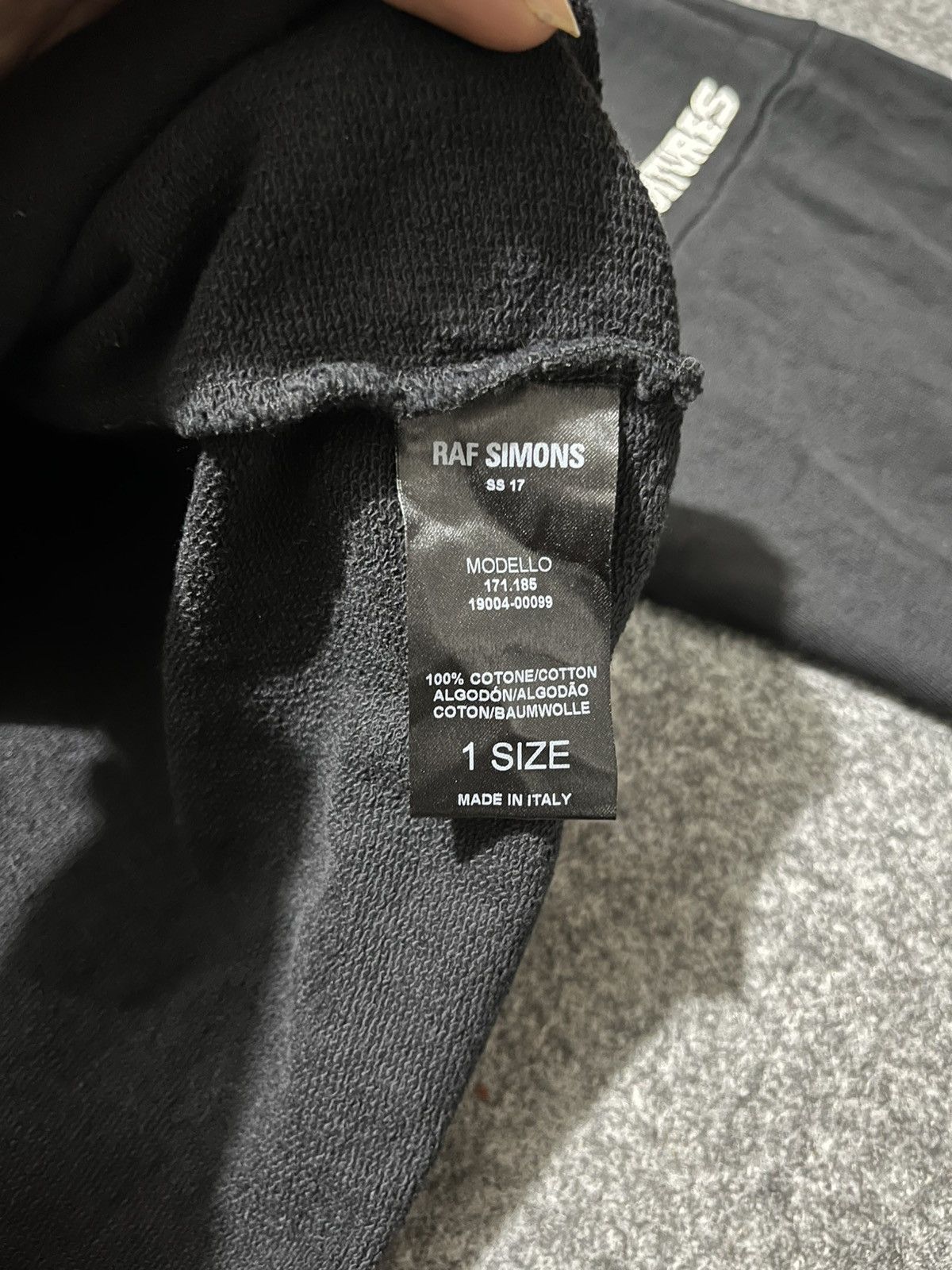 Raf Simons Hoodie Raf Simons Vulture Oversized SS2017 Size US L / EU 52-54 / 3 - 16 Thumbnail
