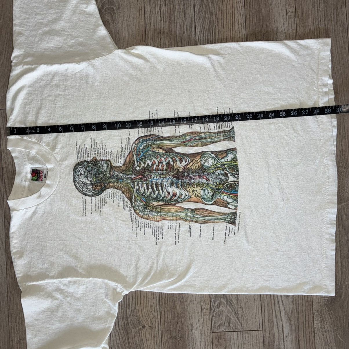 Fruit Of The Loom 90s nervous system anatomy tee Size US XL / EU 56 / 4 - 7 Thumbnail