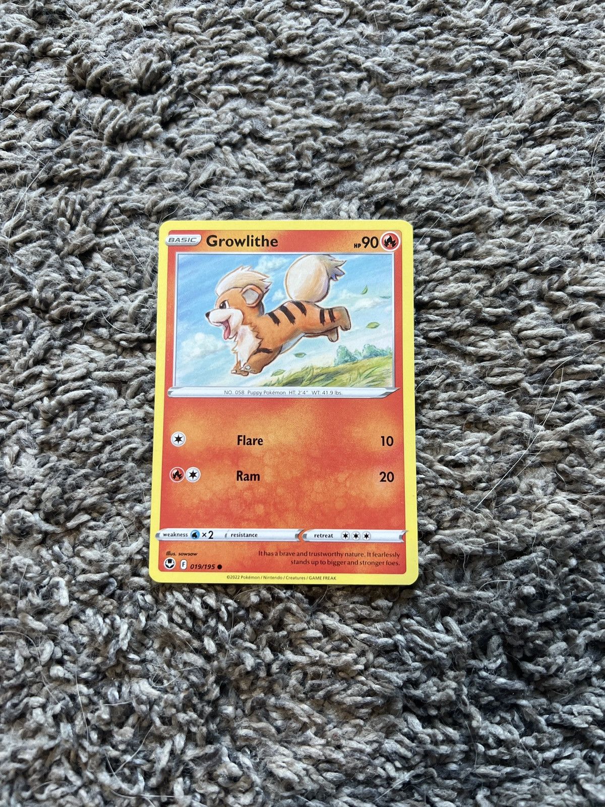 Pokemon 2022 Pokémon Growlithe Basic Card Size ONE SIZE - 1 Thumbnail