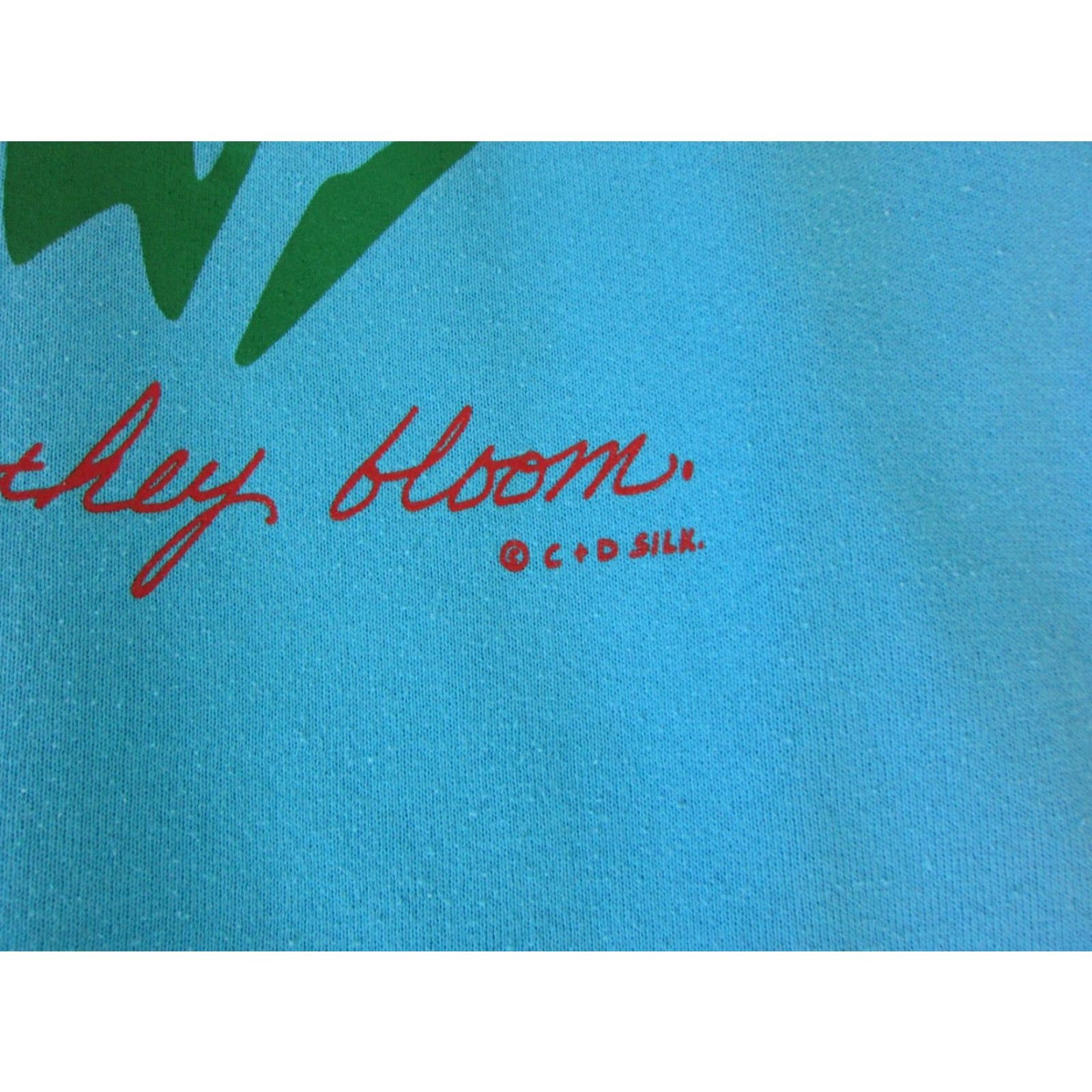 Fruit Of The Loom VINTAGE Fruit of the Loom Sweatshirt Mens XL Blue 90s Cotton Polyester Fleece Crew Neck Pullover All Seasons Size US XL / EU 56 / 4 - 5 Thumbnail
